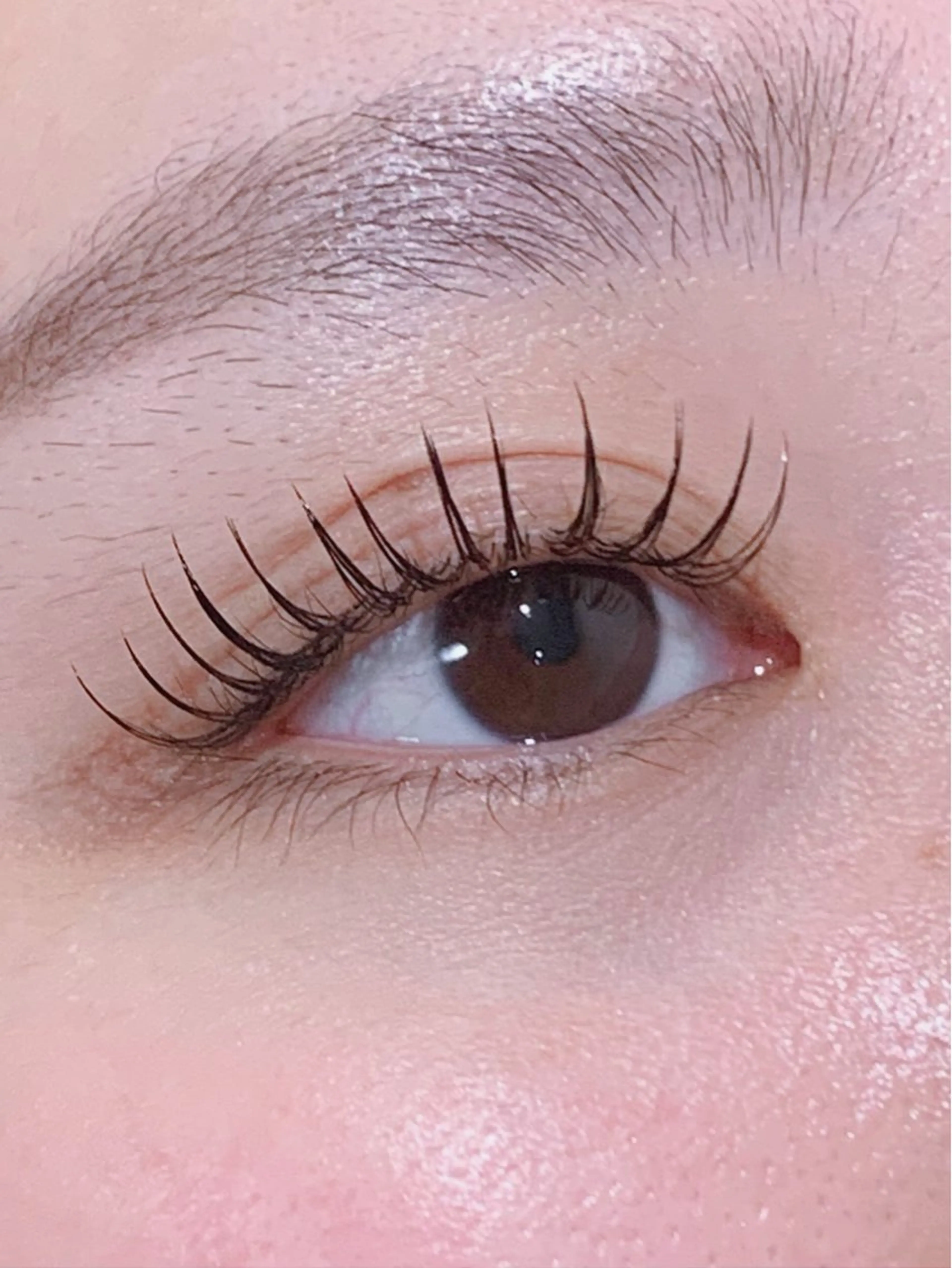 マツエク・マツパ フラットラッシュ Lil by Fan. 菊池のマツエク・マツパデザイン