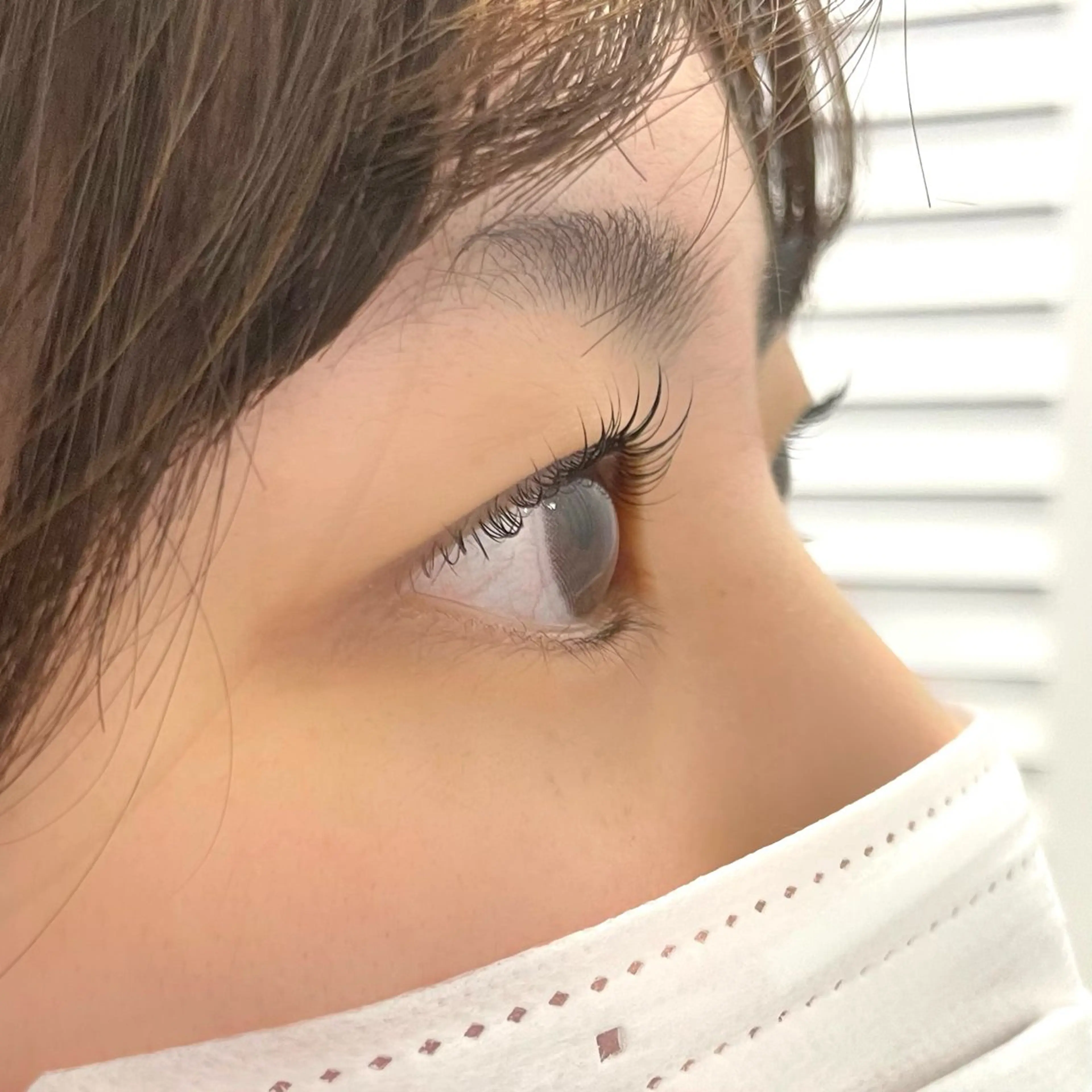 マスカラパーマ（上）（トリートメント付き）+アイブロウWax🎶の写真