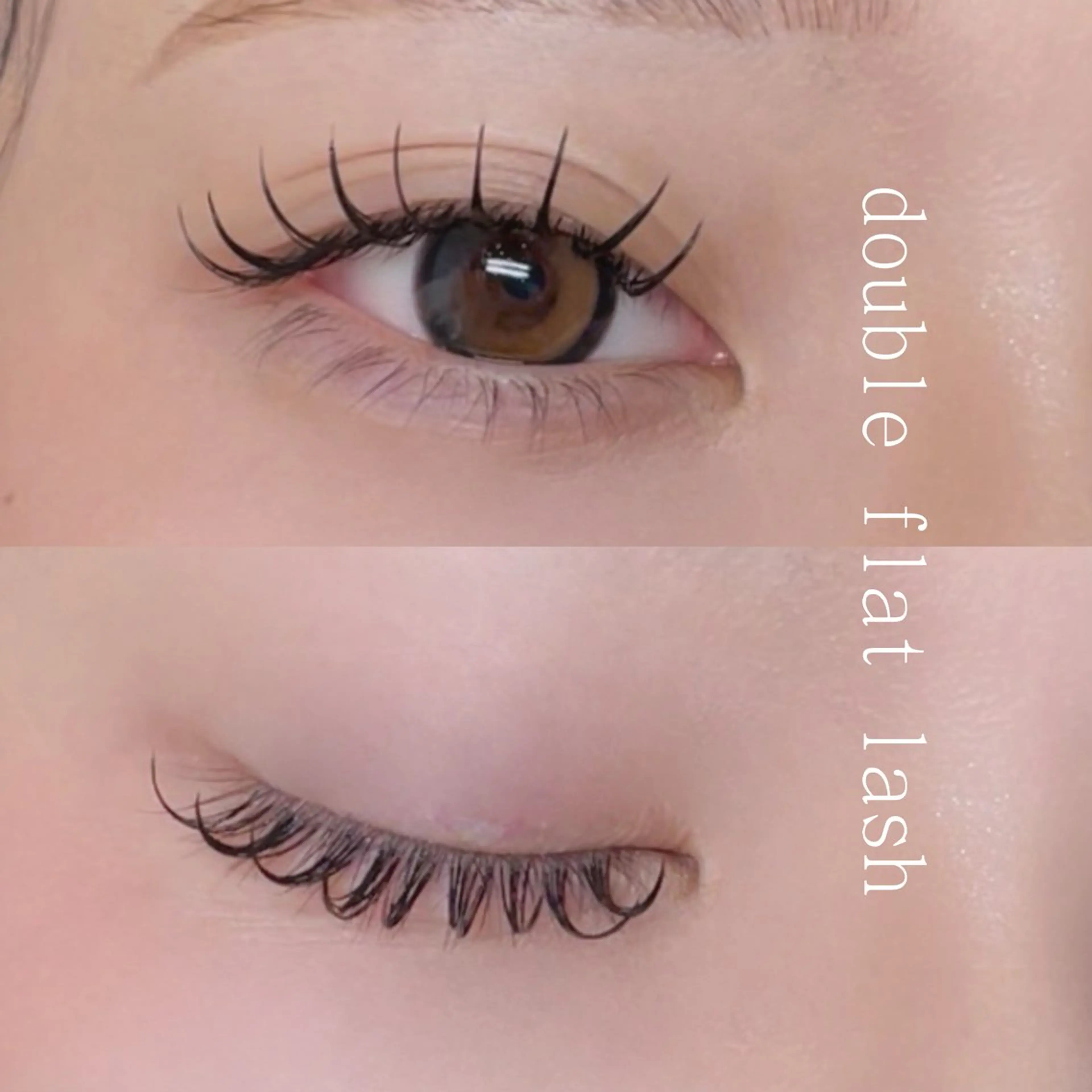 💜4月限定価格💜束感.高持続*:.｡.【マツエク】ダブルフラット​〜​140束までオフ込みの写真