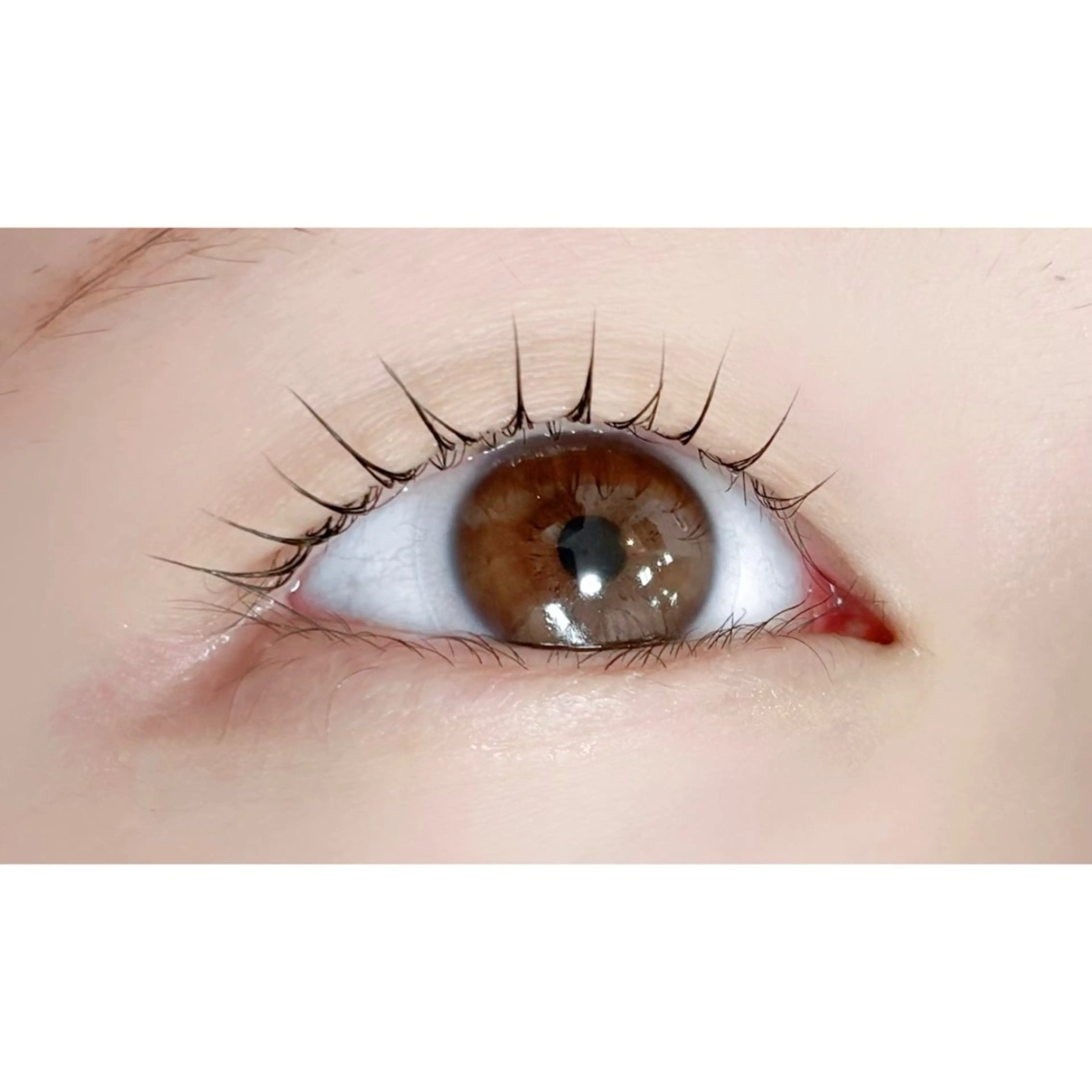 マツエク・マツパ 一重×まつ毛パーマ マツパ アルターエクラ ⟡.🎼 mikiのマツエク・マツパデザイン