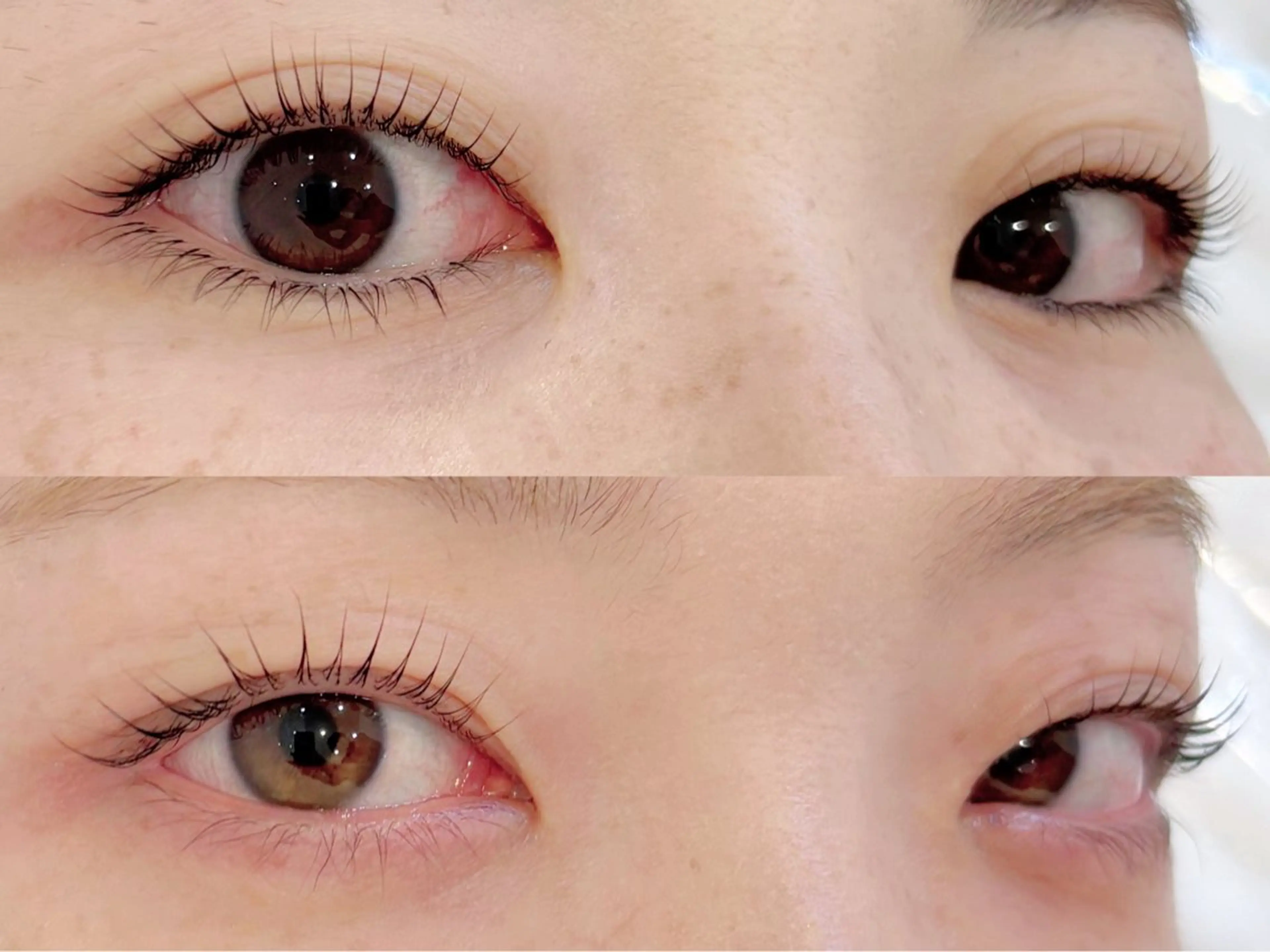 マツエク・マツパ マツパ 🌙Lily 船橋 鈴木のマツエク・マツパデザイン