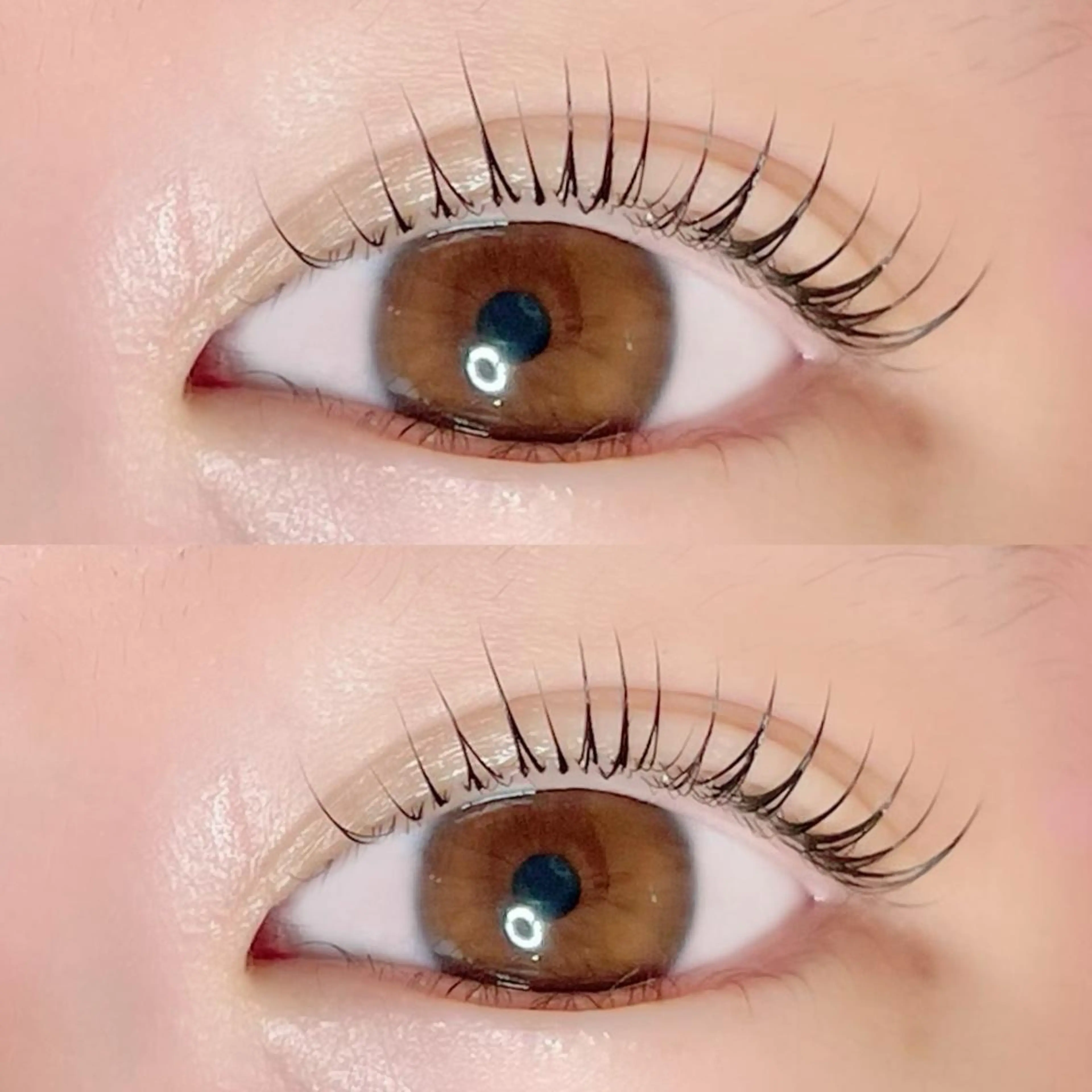 マツエク・マツパ マツパ AYLASH🧡 猪又のマツエク・マツパデザイン