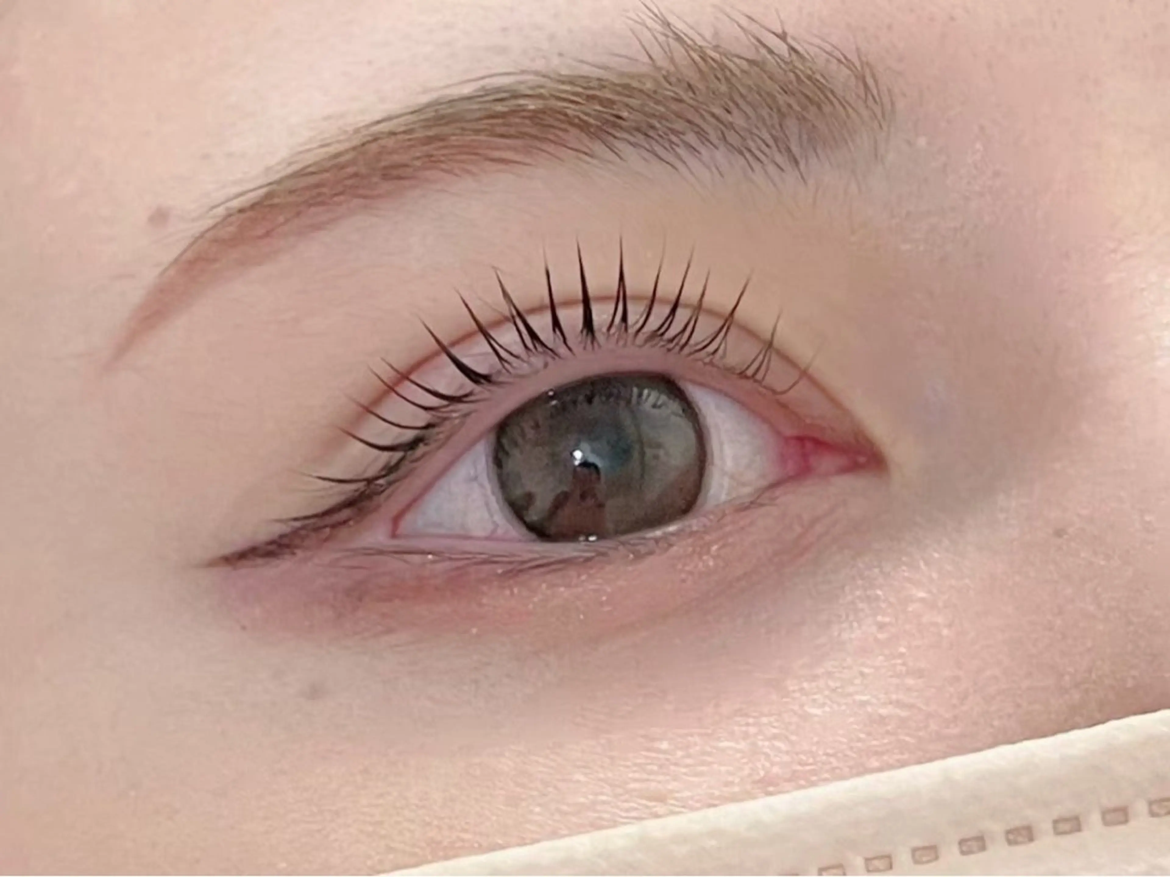 マツエク・マツパ 【fufula】薬院 まつげパーマ/LEDのマツエク・マツパデザイン