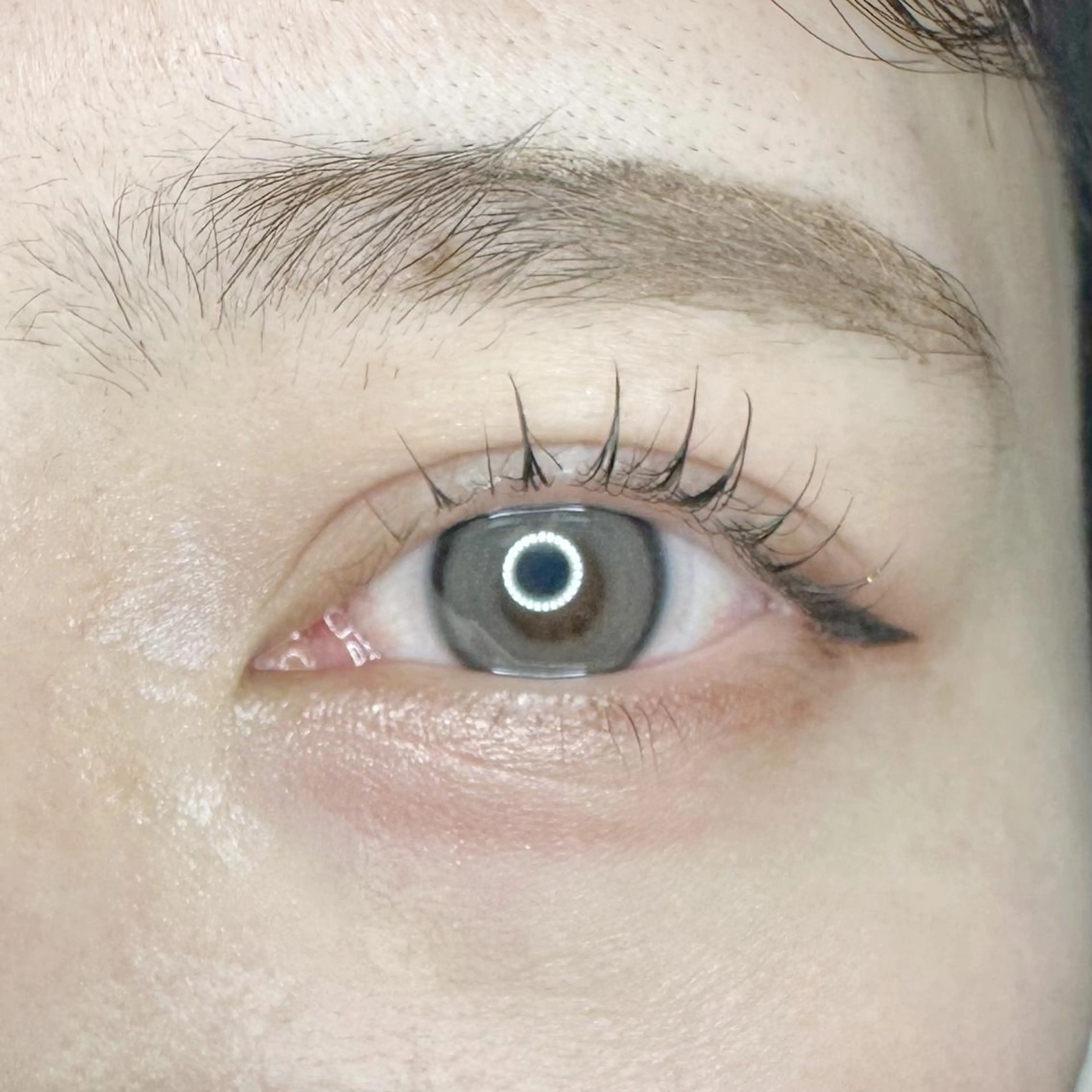 マツエク・マツパ 口コミ高評価⚡️ Wahf/Sotaのマツエク・マツパデザイン