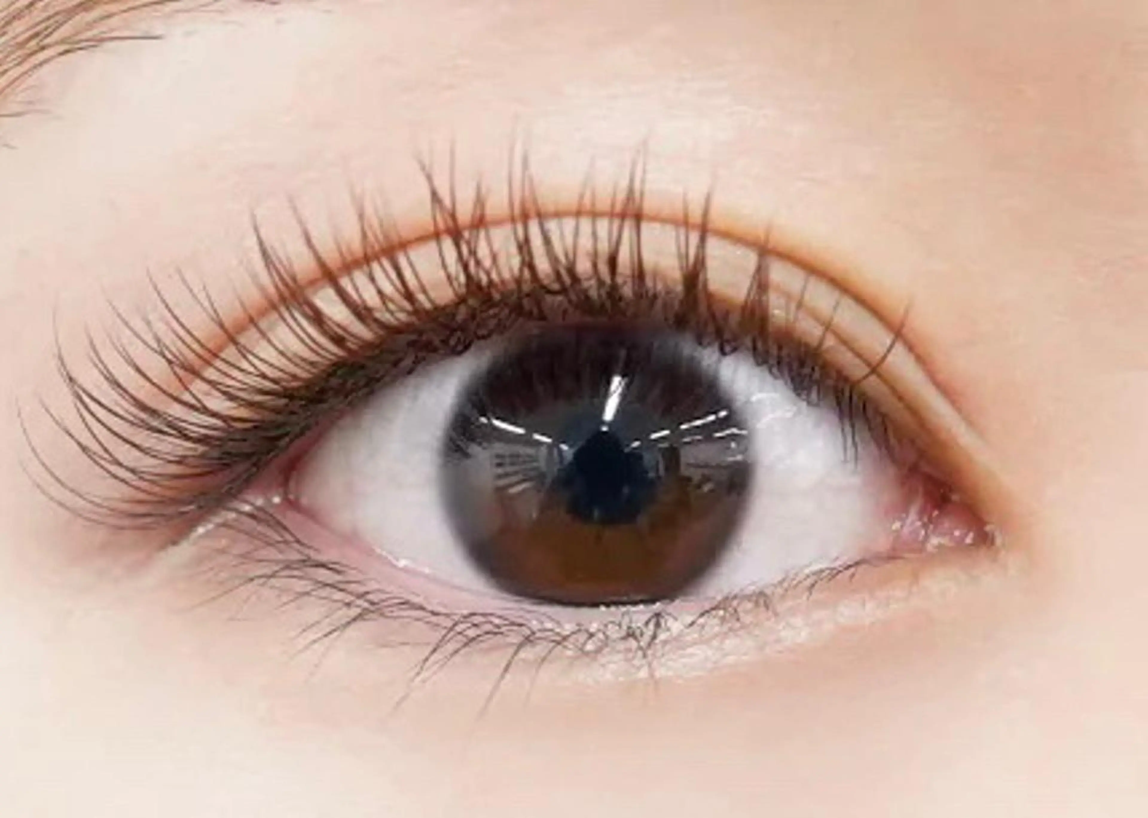 マツエク・マツパ カラーマツエク iu.(イユドット)所属・🤍二条城北iu. /IKUHOのマツエク・マツパデザイン