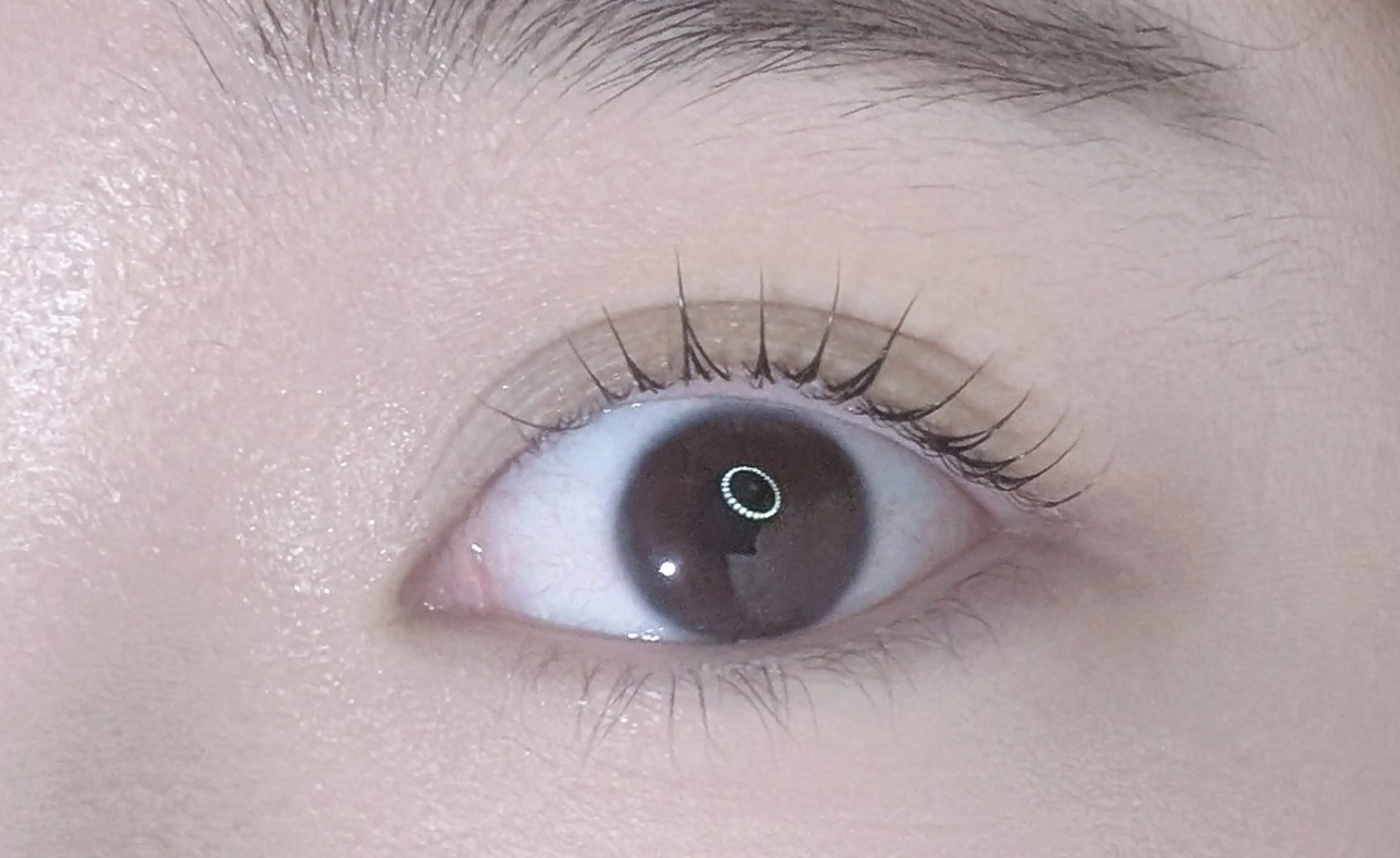 マツエク・マツパ bloom chihiroのマツエク・マツパデザイン