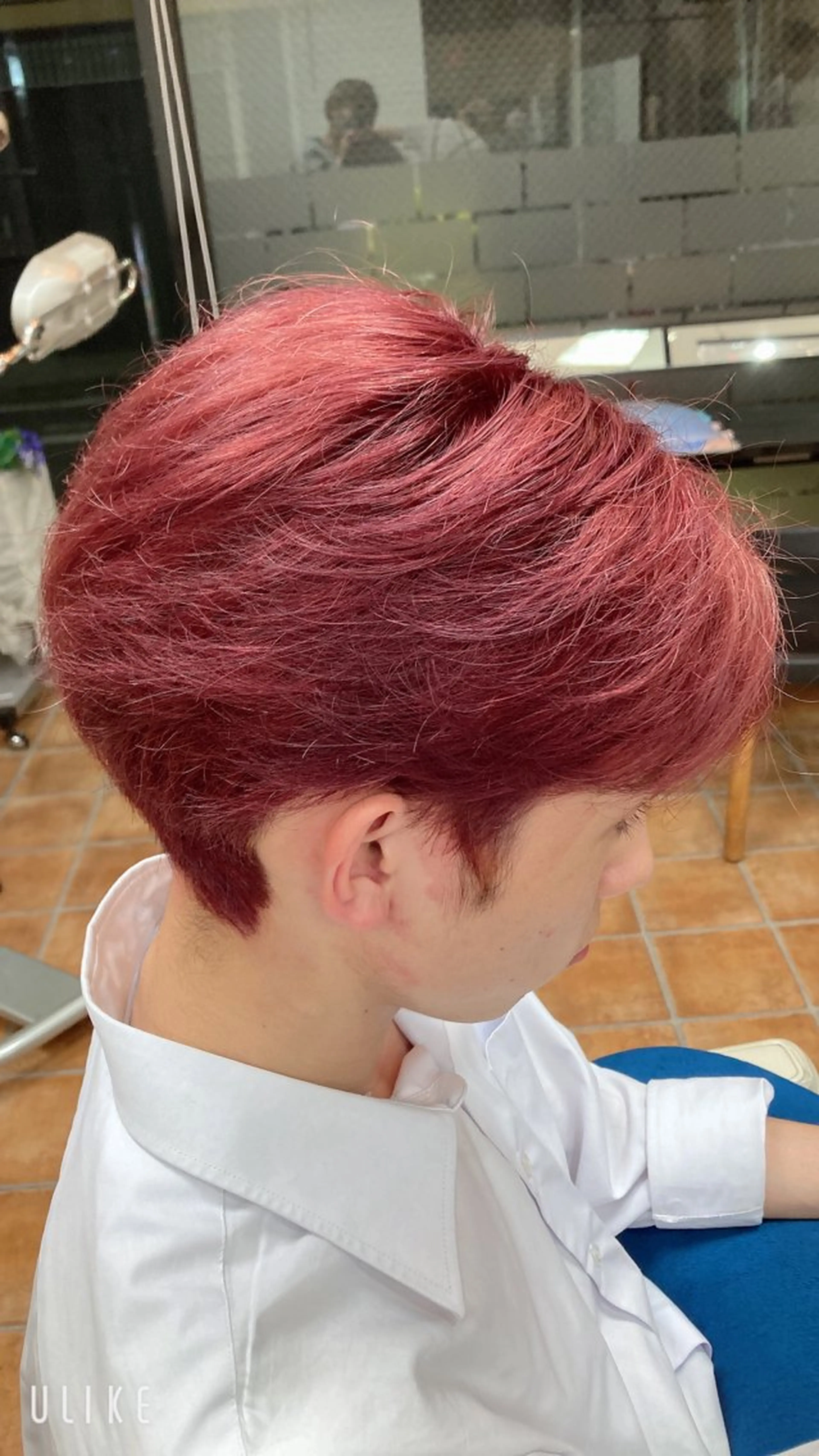 ショート カラー メンズ ダブルカラー ピンクカラー ヘアカラー トリートメント 縮毛矯正/ /関内/あべももこのヘアスタイル