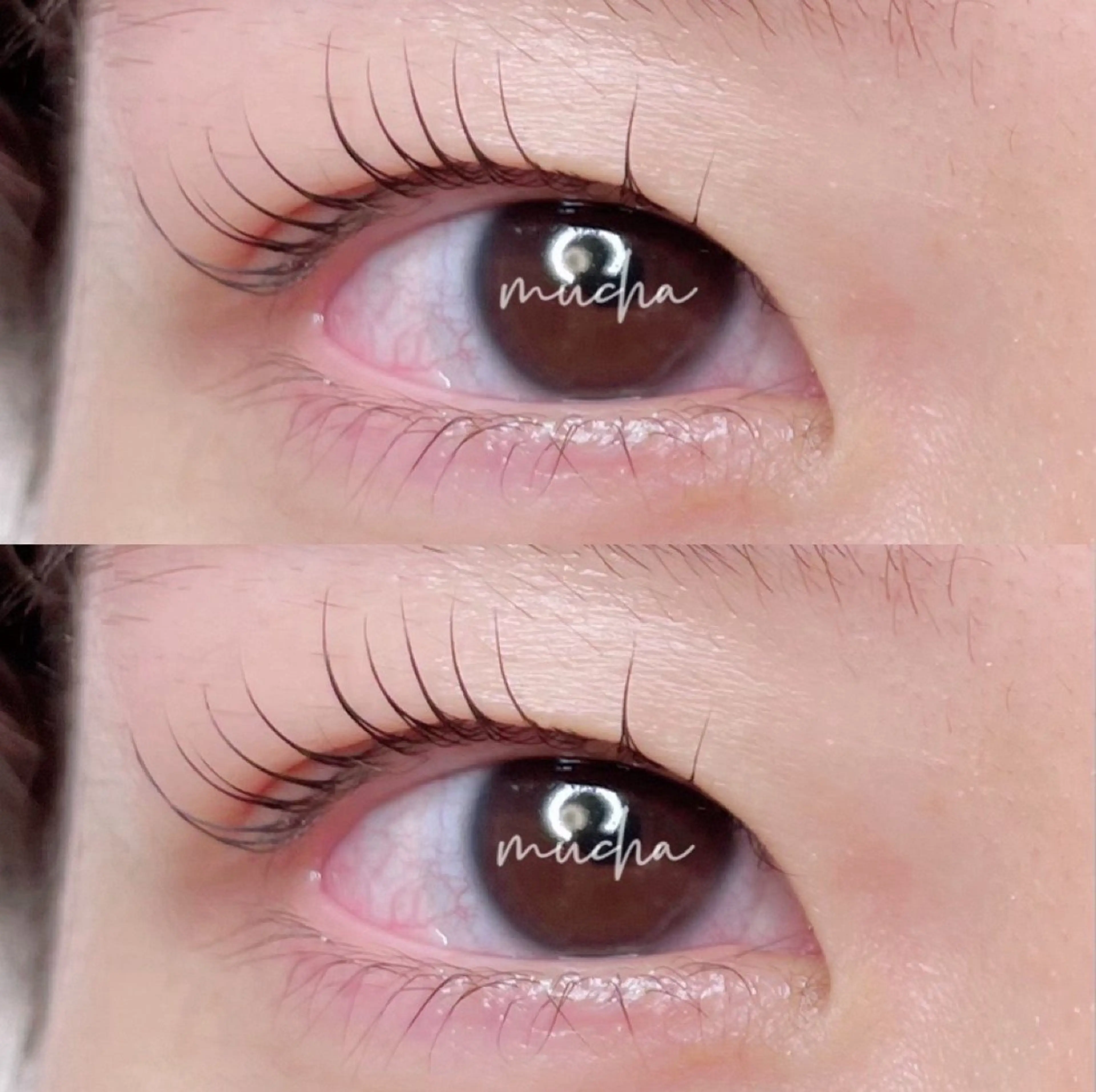 マツエク・マツパ eyelash muchaのマツエク・マツパデザイン
