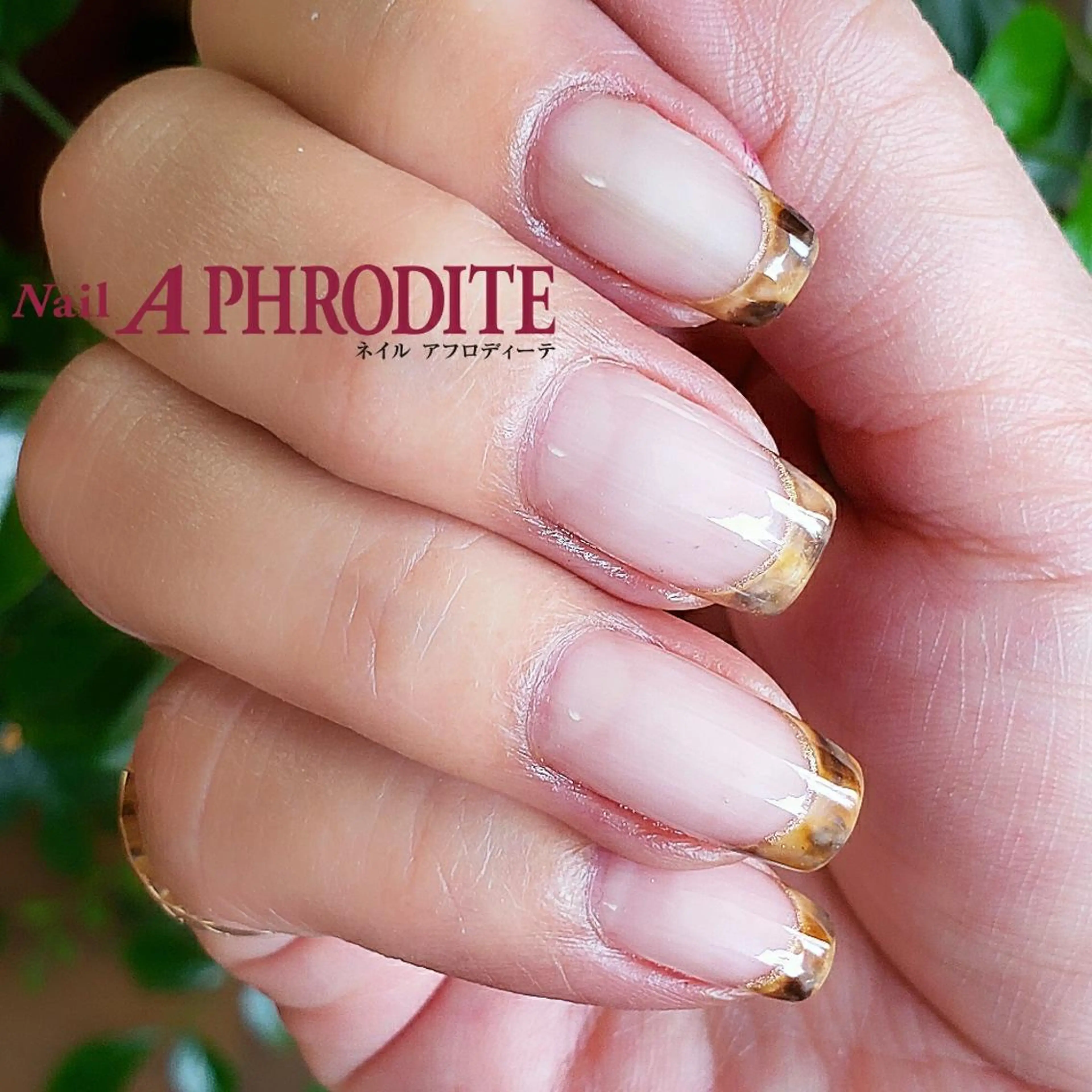 ネイル クリアネイル ジェルネイル ソフトジェル Nail  Aphroditeのネイルデザイン