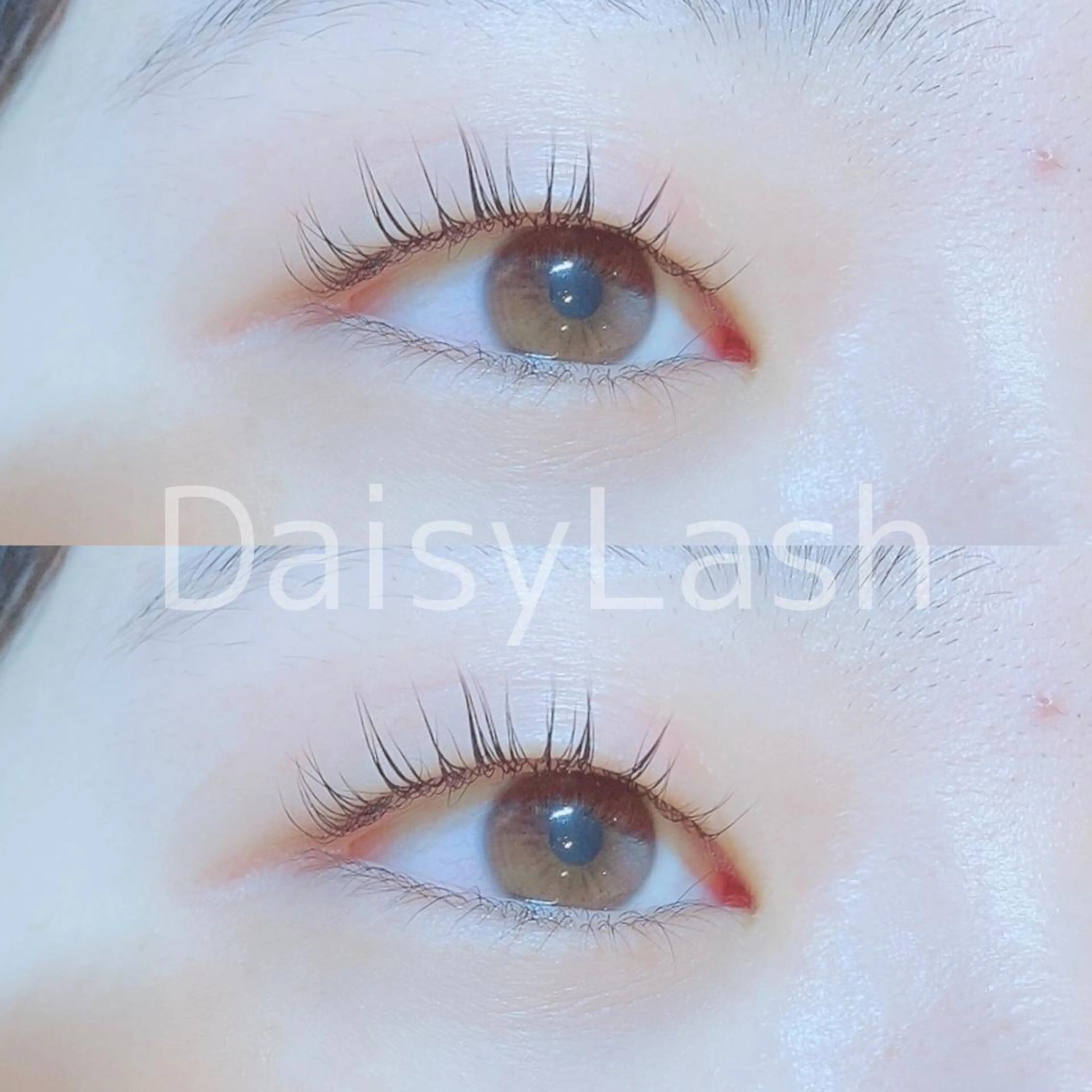 マツエク・マツパ DaisyLash 京橋店のマツエク・マツパデザイン