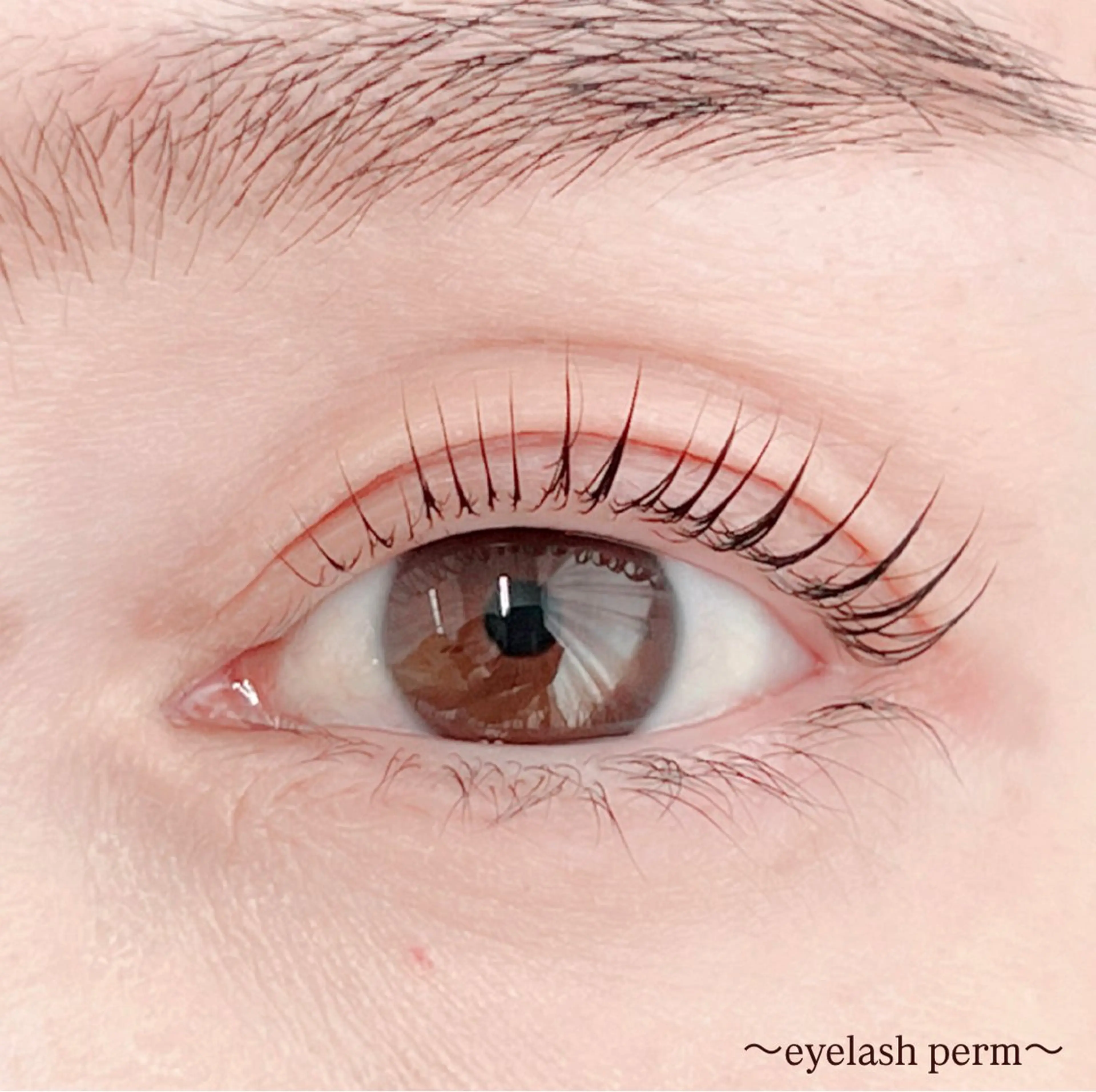 マツエク・マツパ 田村 莉子のマツエク・マツパデザイン