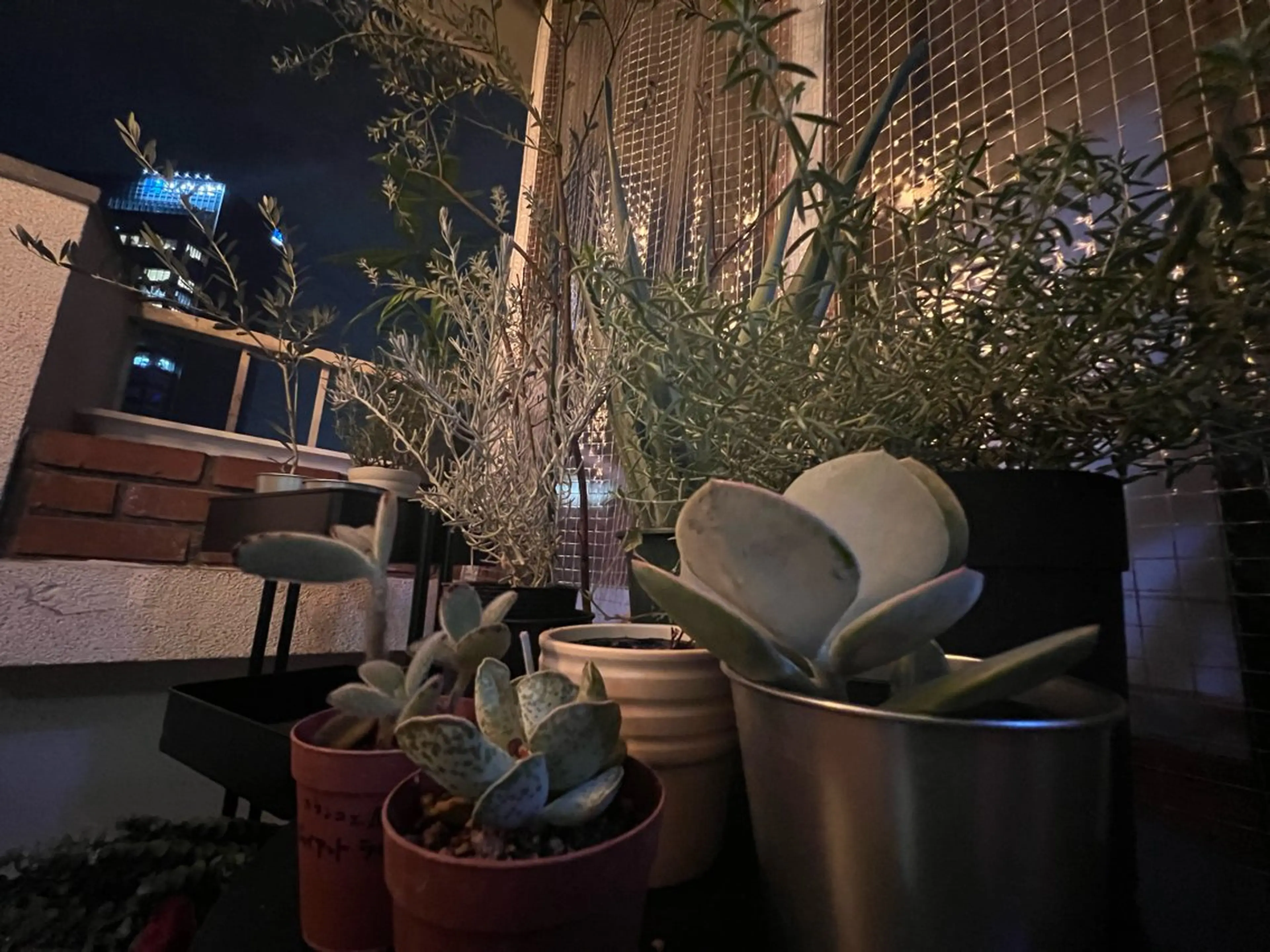 マツエク・マツパ 岡部 梢の眉毛・アイブロウイメージ