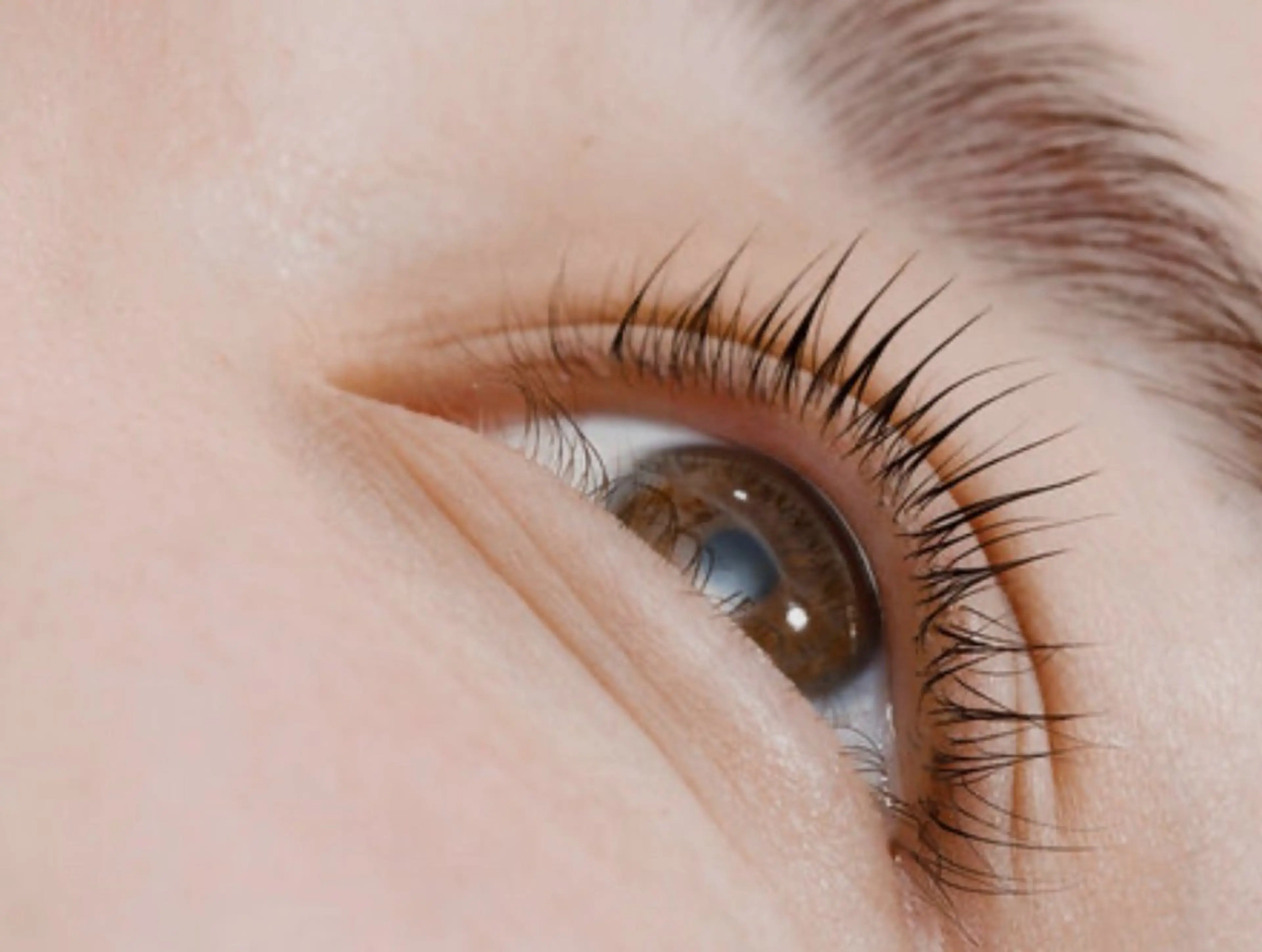 マツエク・マツパ 束感まつ毛 韓国風マツエク パリジェンヌラッシュリフト まつげパーマ マツパ Moana Salonのマツエク・マツパデザイン