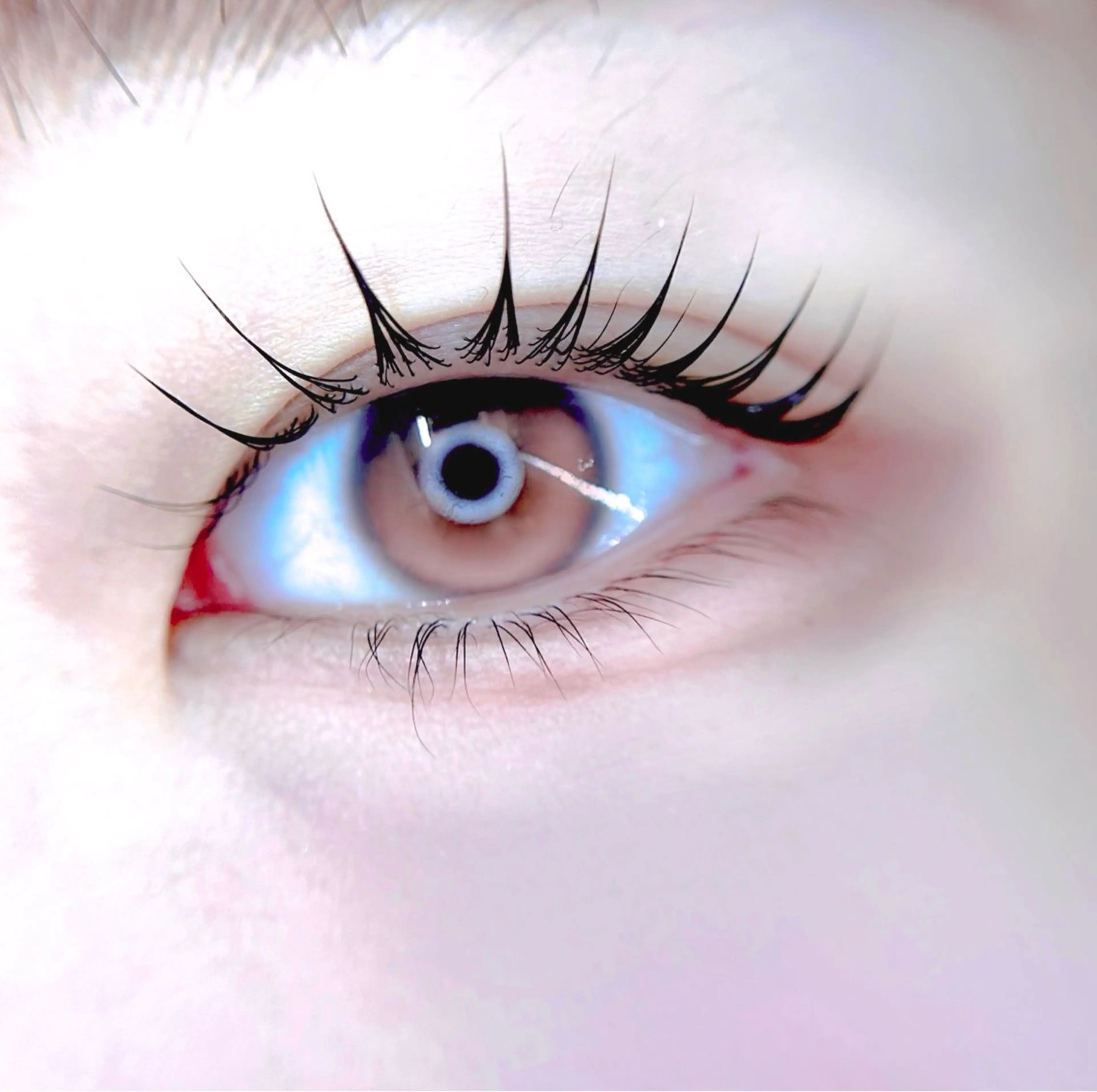 マツエク・マツパ パリジェンヌラッシュリフト マツパ 🎀eyelist. mizuki🐈⬛のマツエク・マツパデザイン