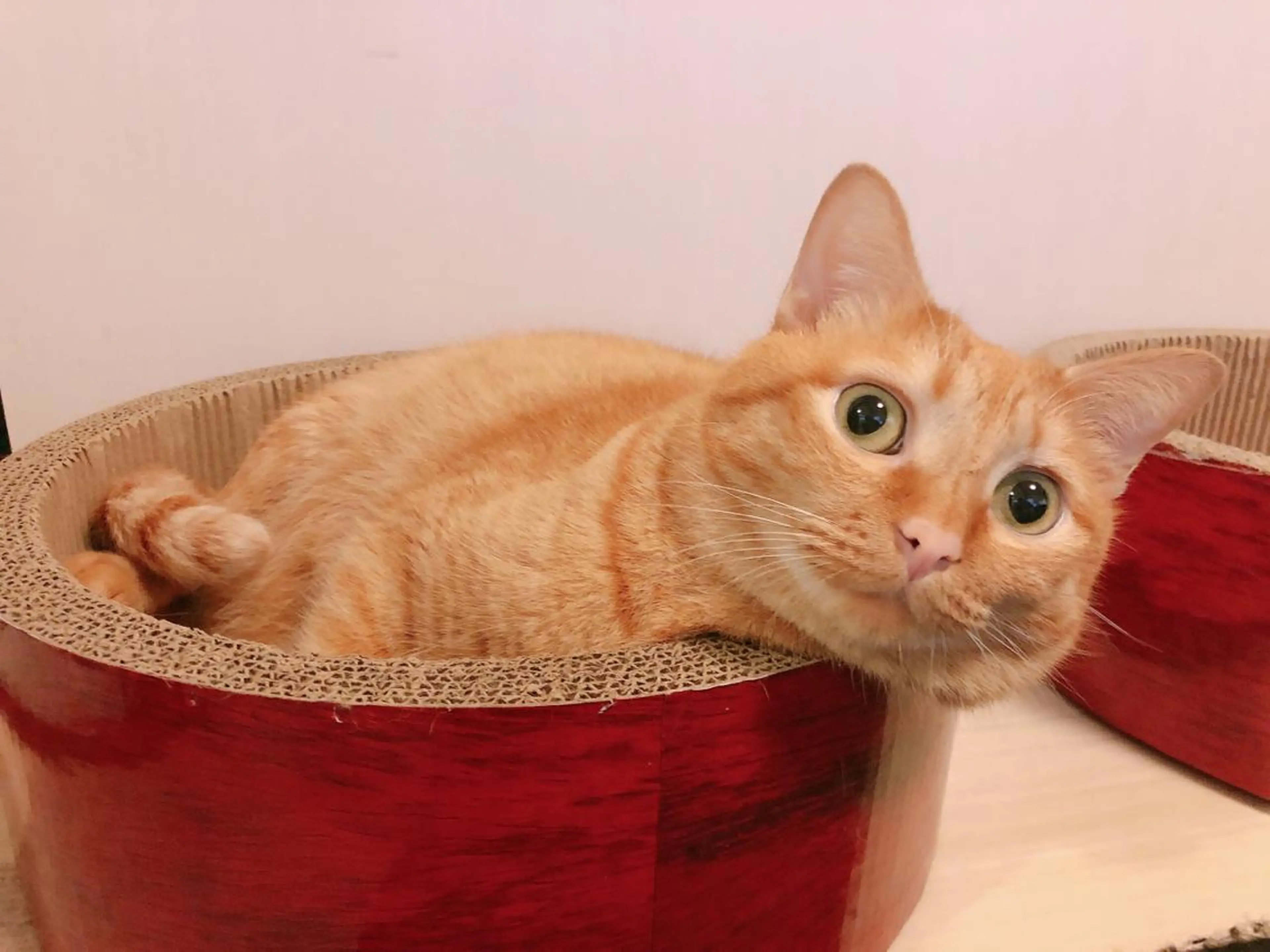 kiki nail &brow二子玉川の眉毛・アイブロウイメージ