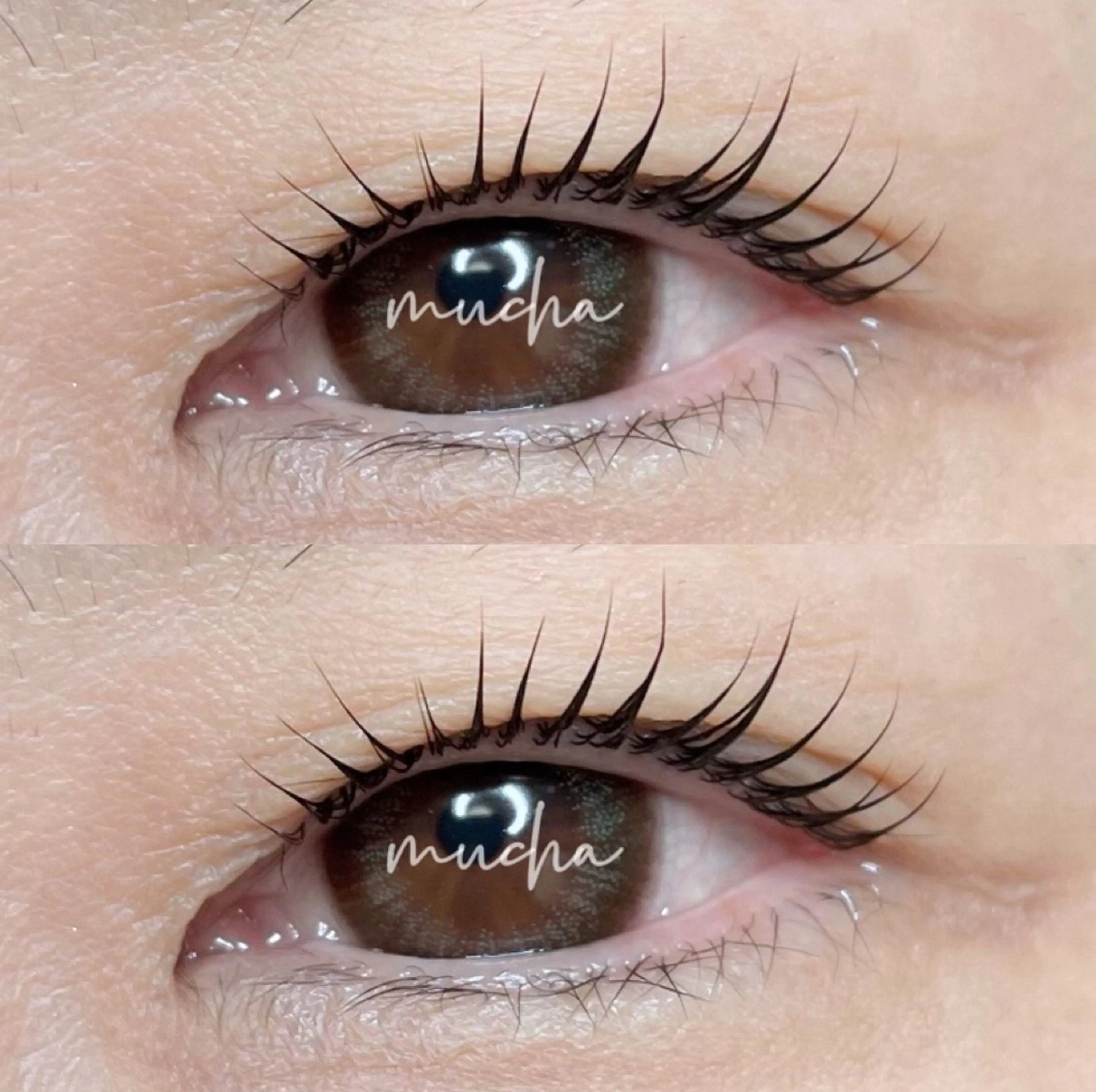 マツエク・マツパ eyelash muchaのマツエク・マツパデザイン