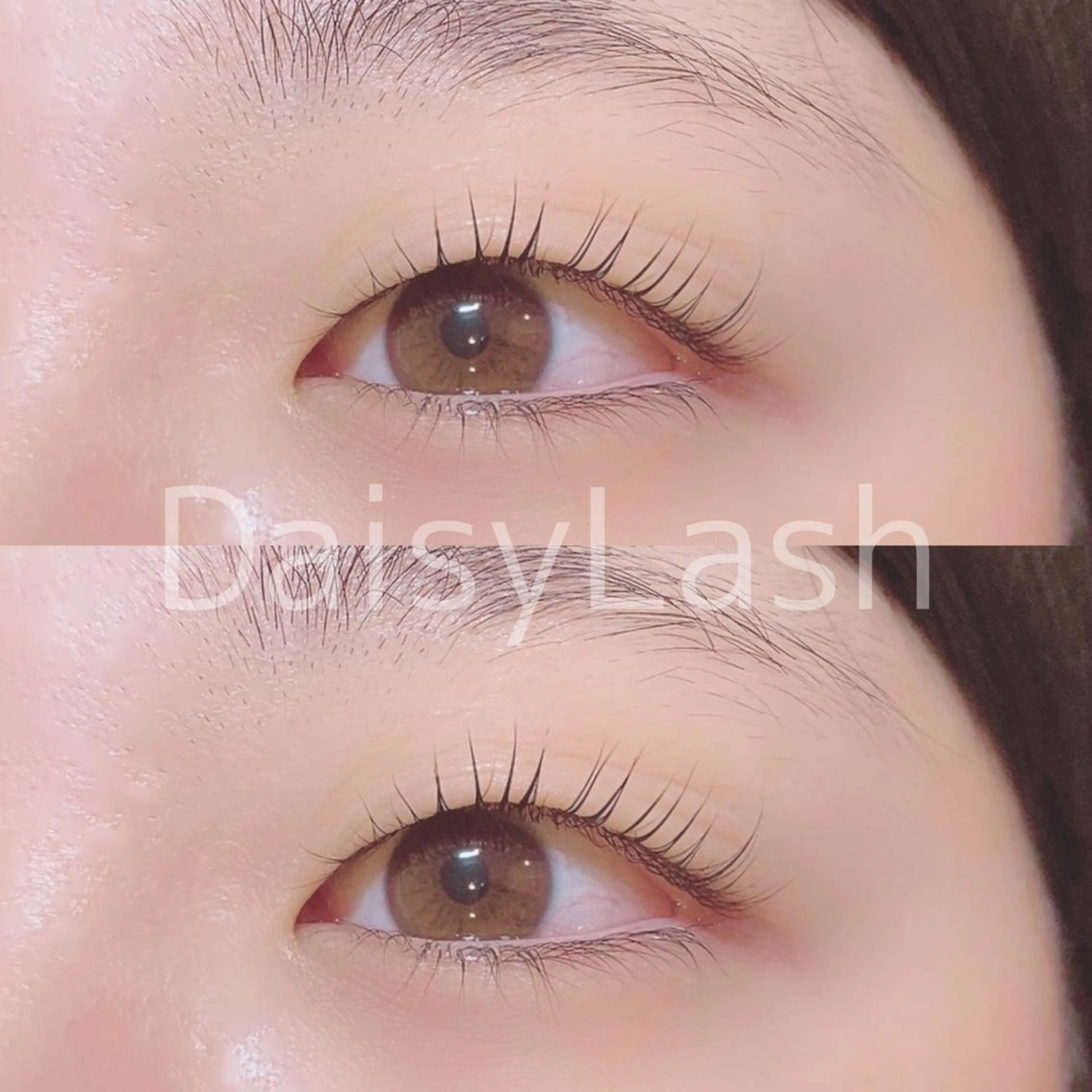 マツエク・マツパ DaisyLash 京橋店のマツエク・マツパデザイン