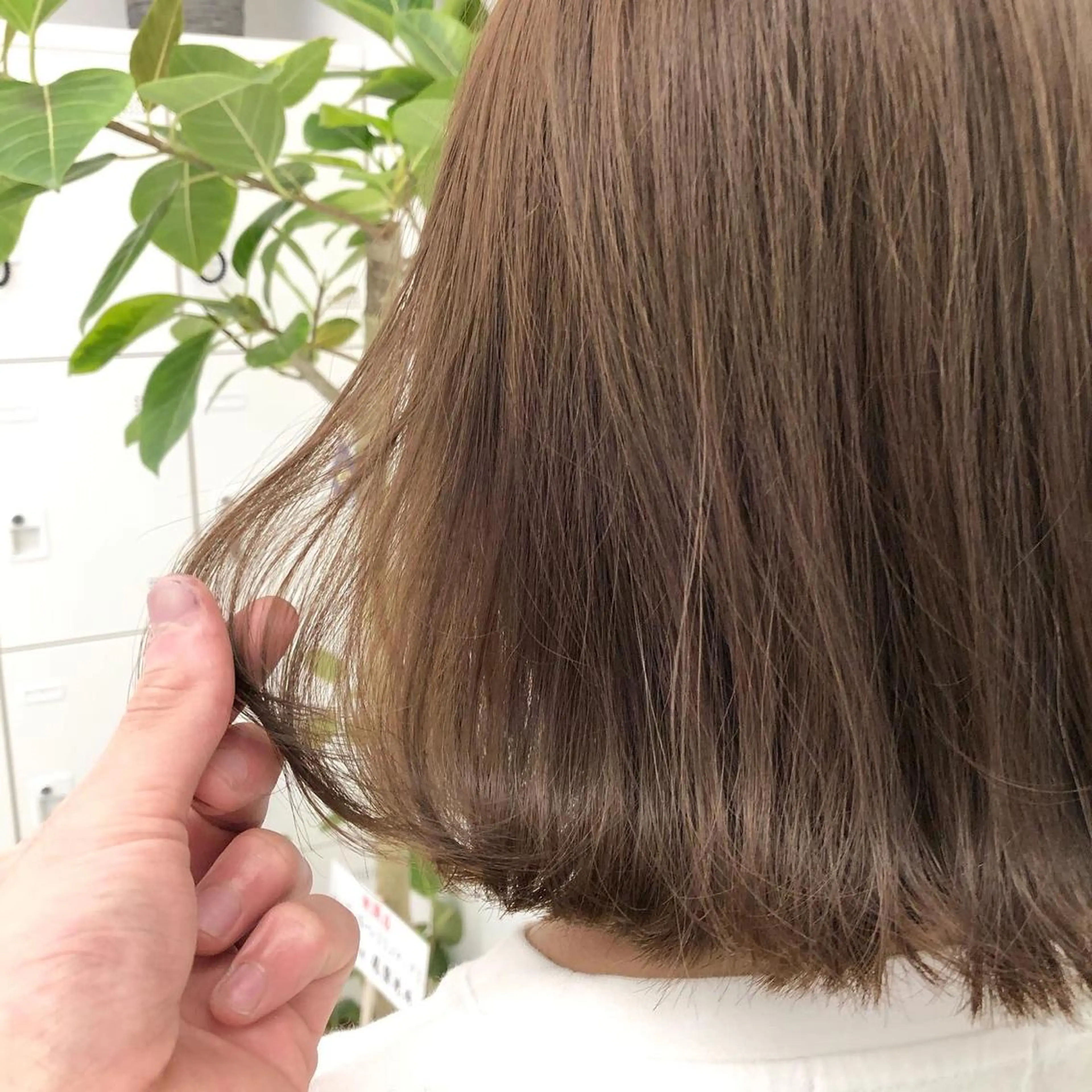 ショート カラー ブリーチ ブリーチなしカラー レイヤーカット 透明感カラーのヘアスタイル