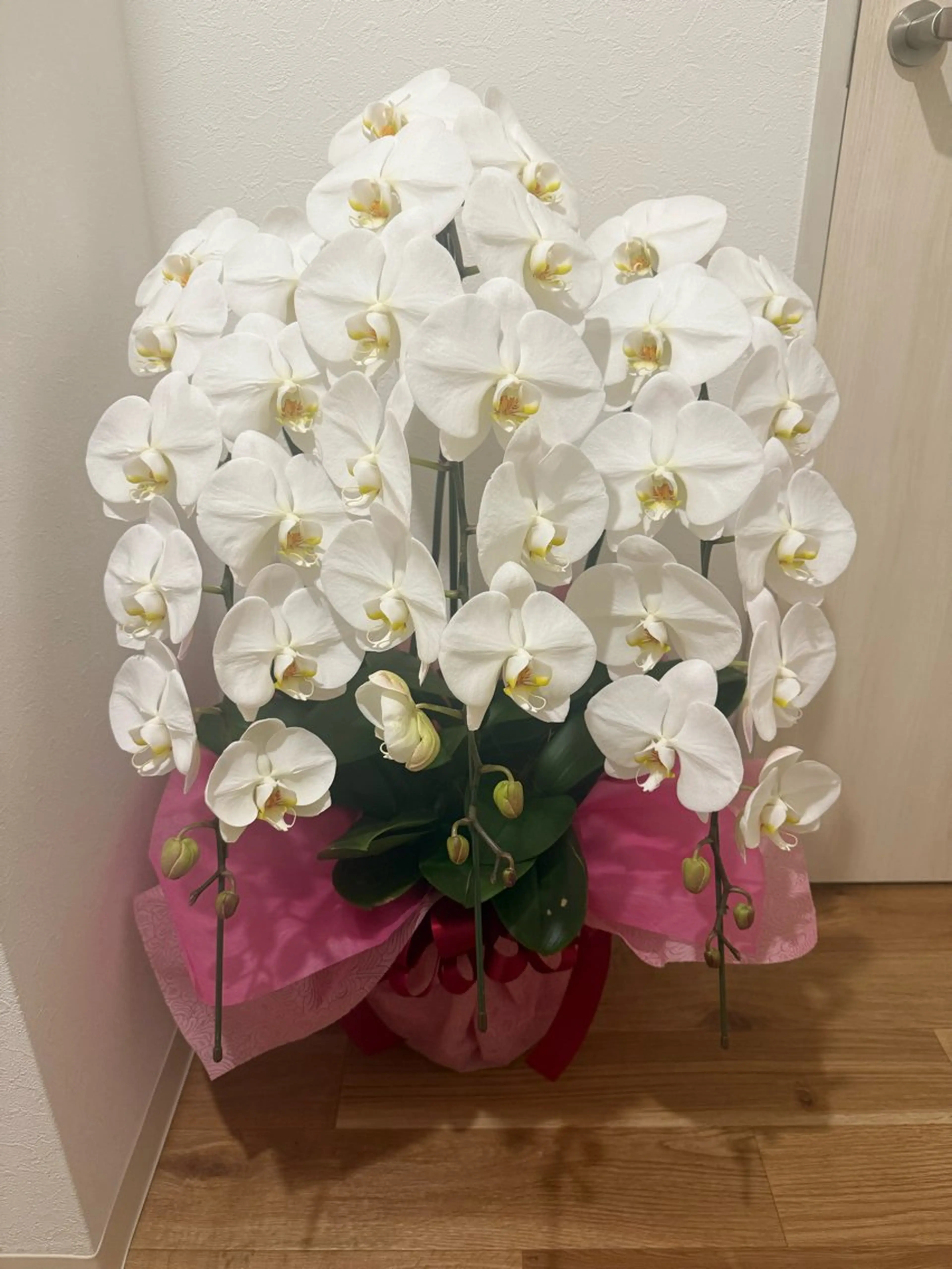 섬하나 ～ソムハナ～🌴のヘアスタイル