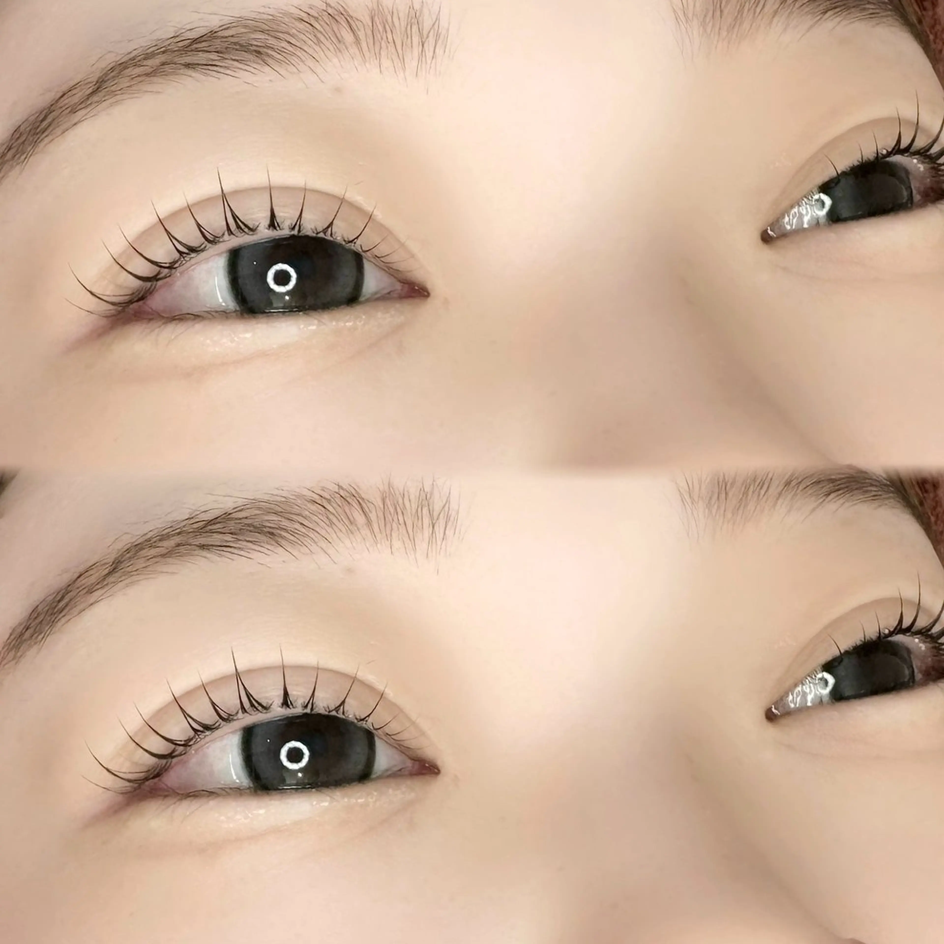 マツエク・マツパ ワックス脱毛 🎀韓国風🎀うる艶 カラー🎀束感まつ毛のマツエク・マツパデザイン