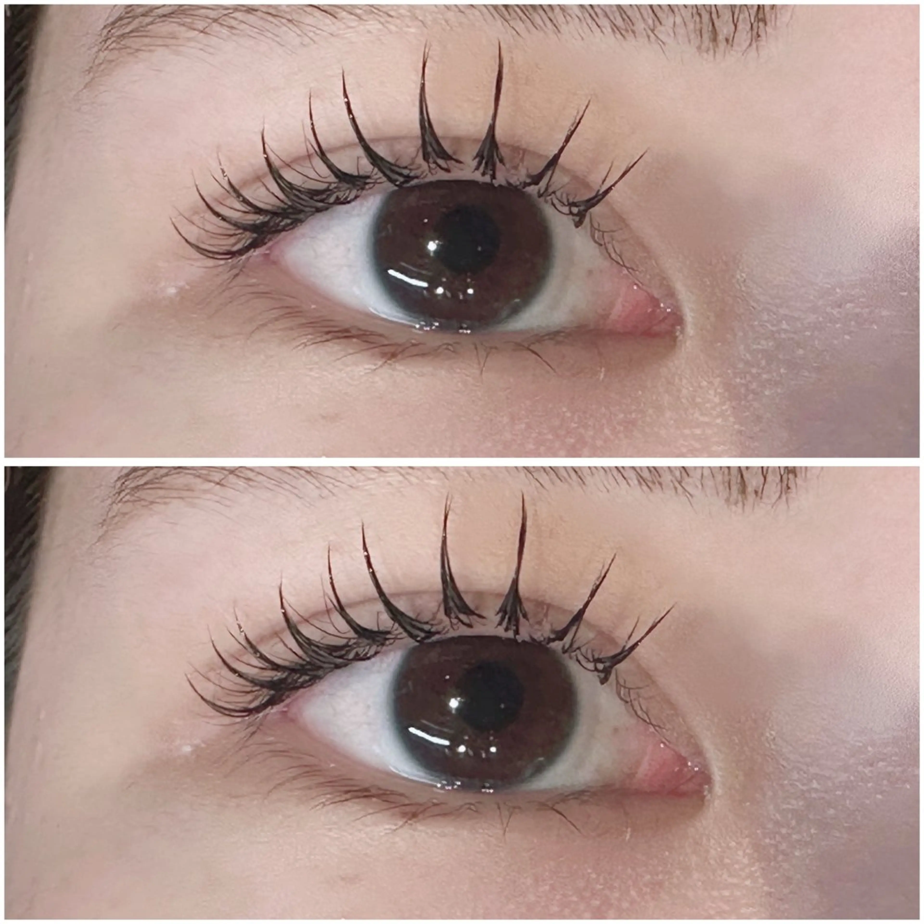 パリエク80本✨コーティング剤付き🫧オフなしの写真