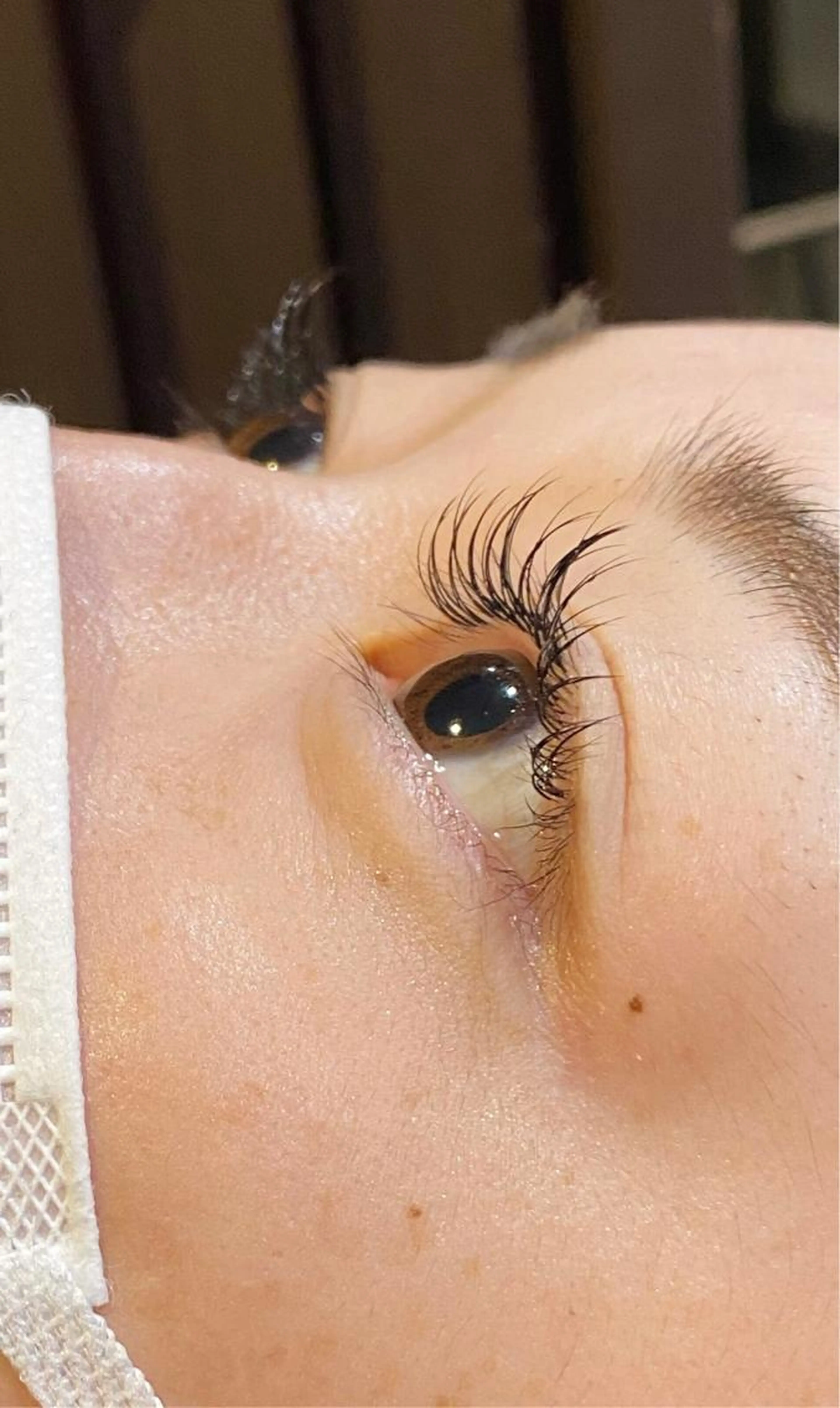 【🌵マツエク🌵】高級ミンク上120本までつけ放題オフ・コーティング付き🫧の写真