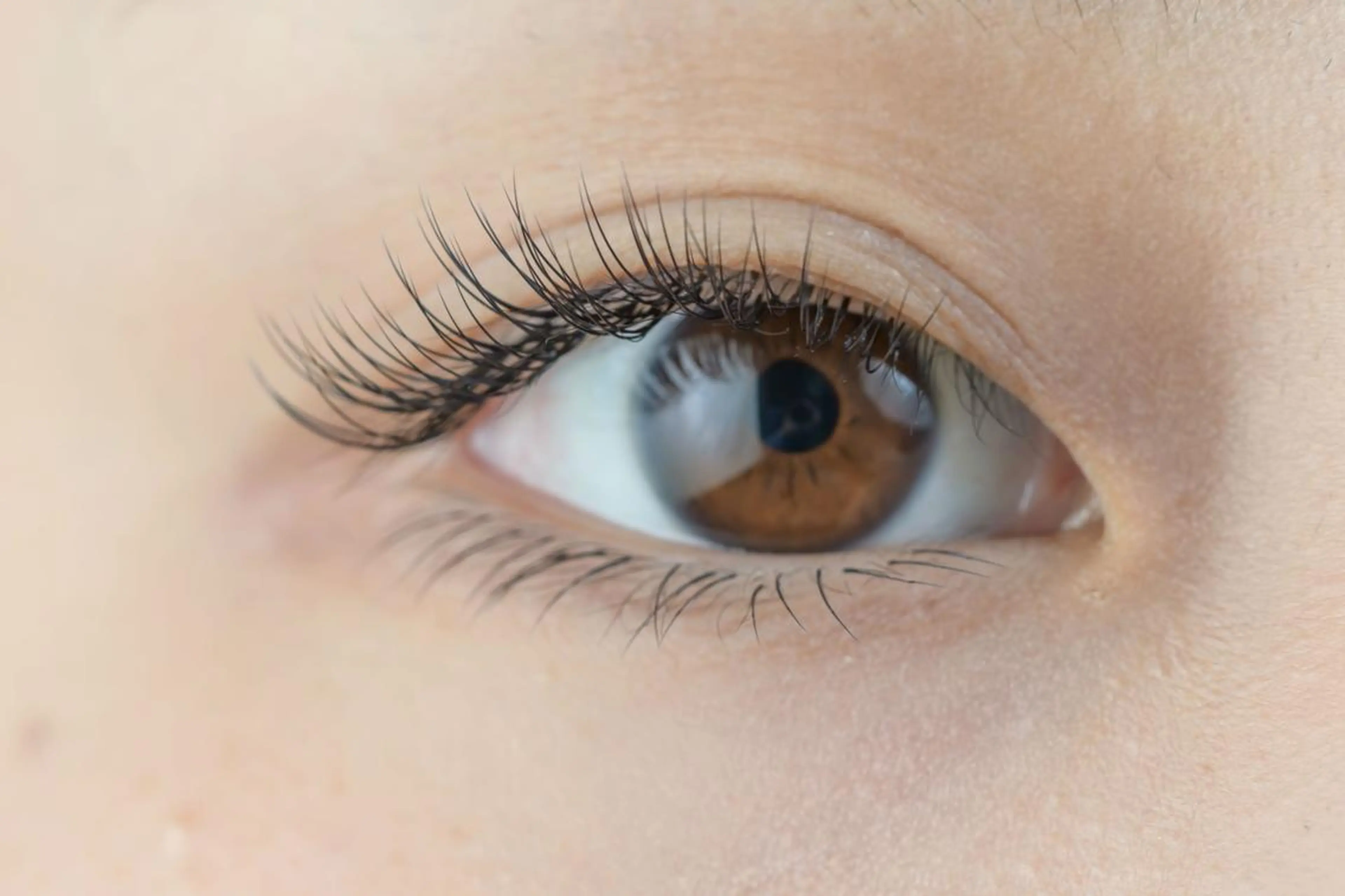 マツエク・マツパ アイサロン フェア 海老名店のマツエク・マツパデザイン