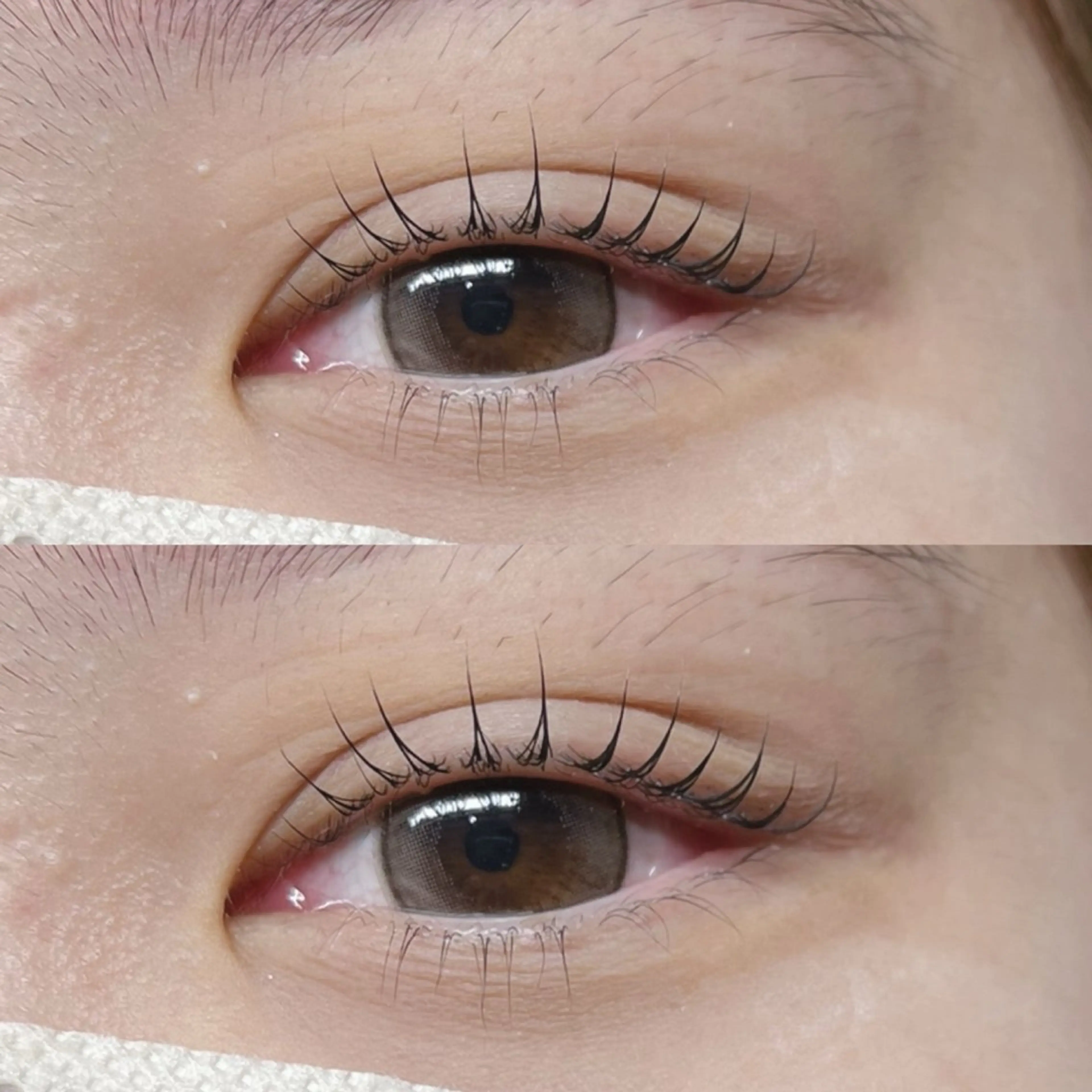 マツエク・マツパ mel. taniのマツエク・マツパデザイン