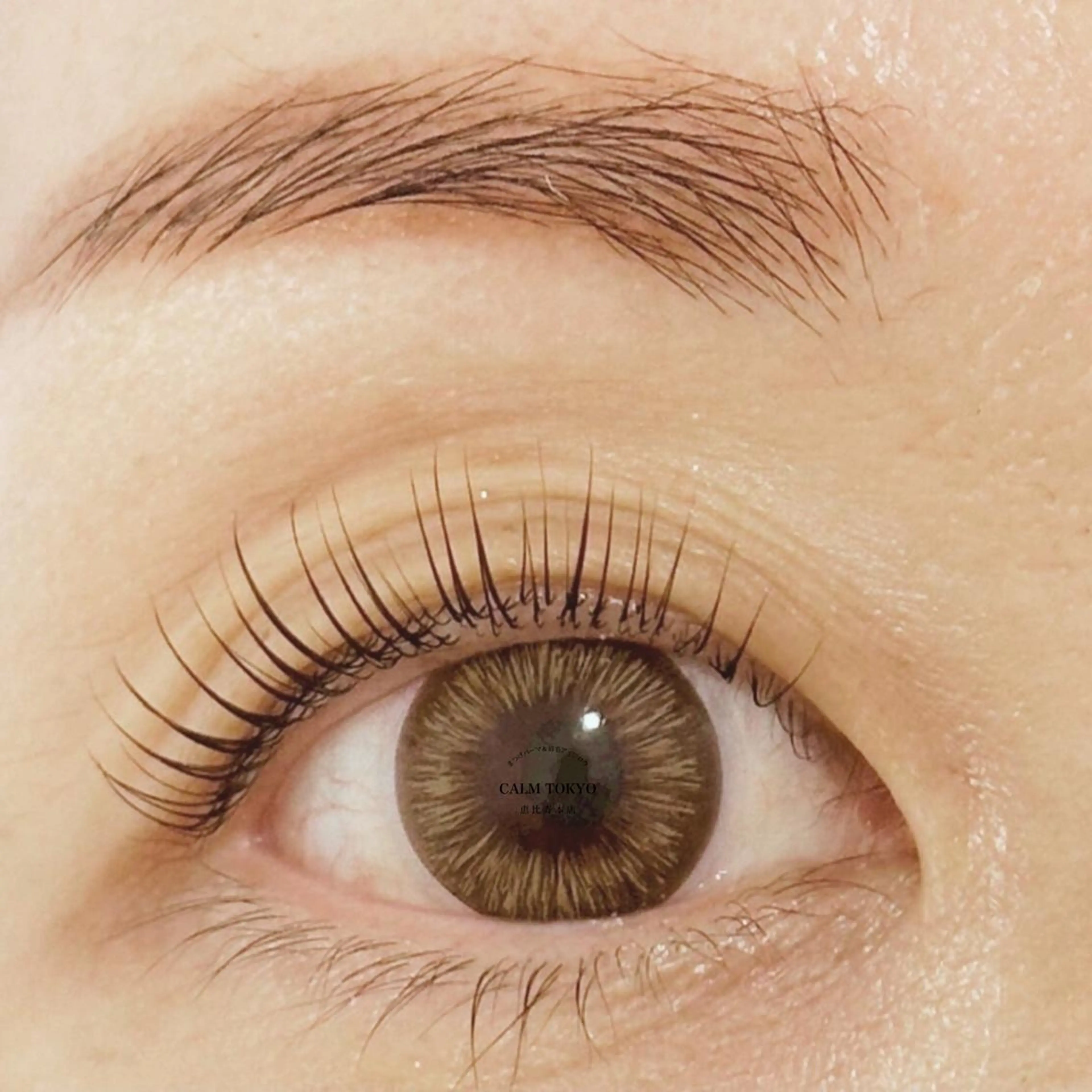 【メイクなしでも決まる♪】上下まつげパーマで印象美を完成💎清潔感×ナチュラル華やかさの写真