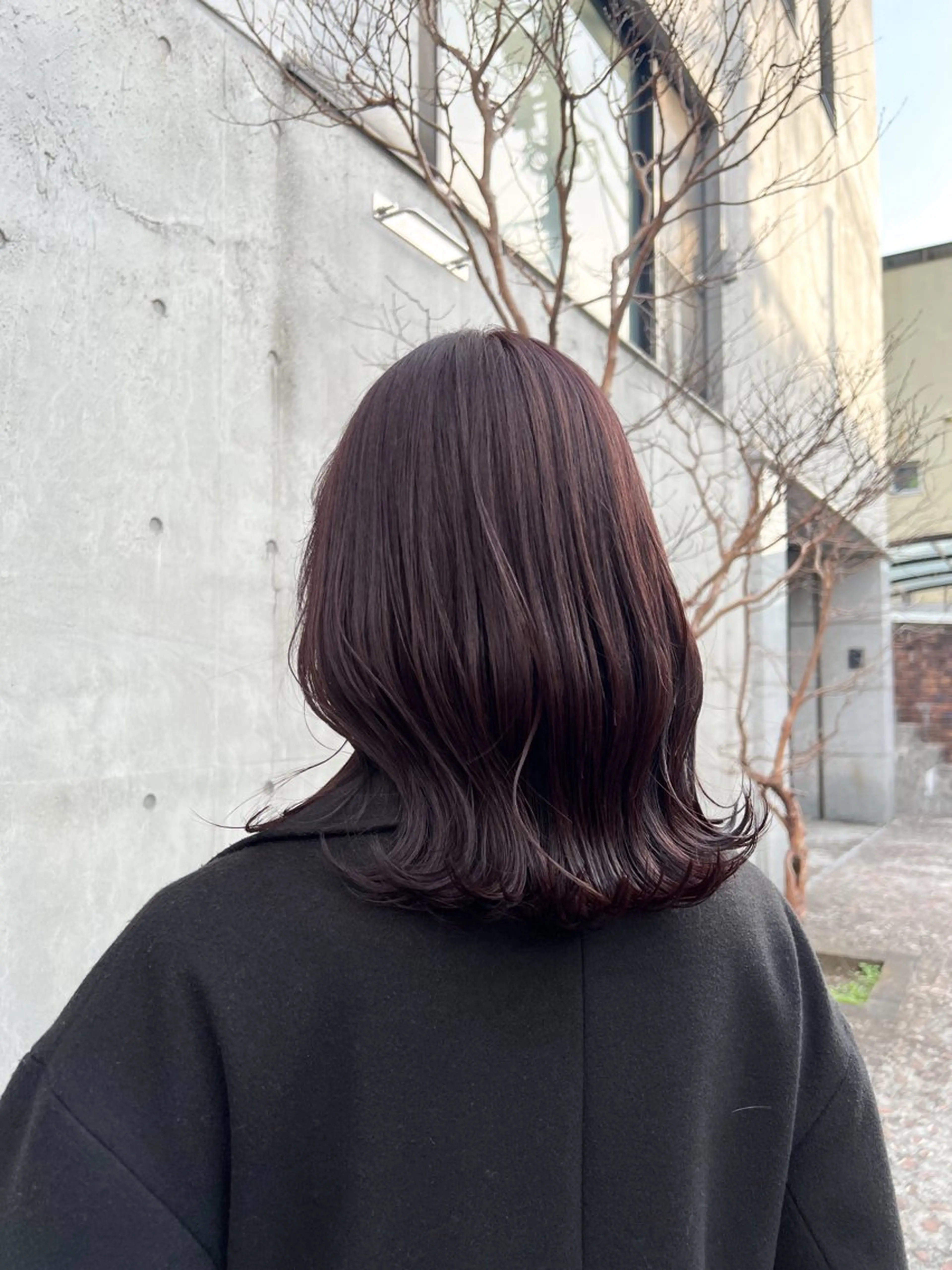 ☘️カット+カラー+コアミー4STEPトリートメント☘️の写真