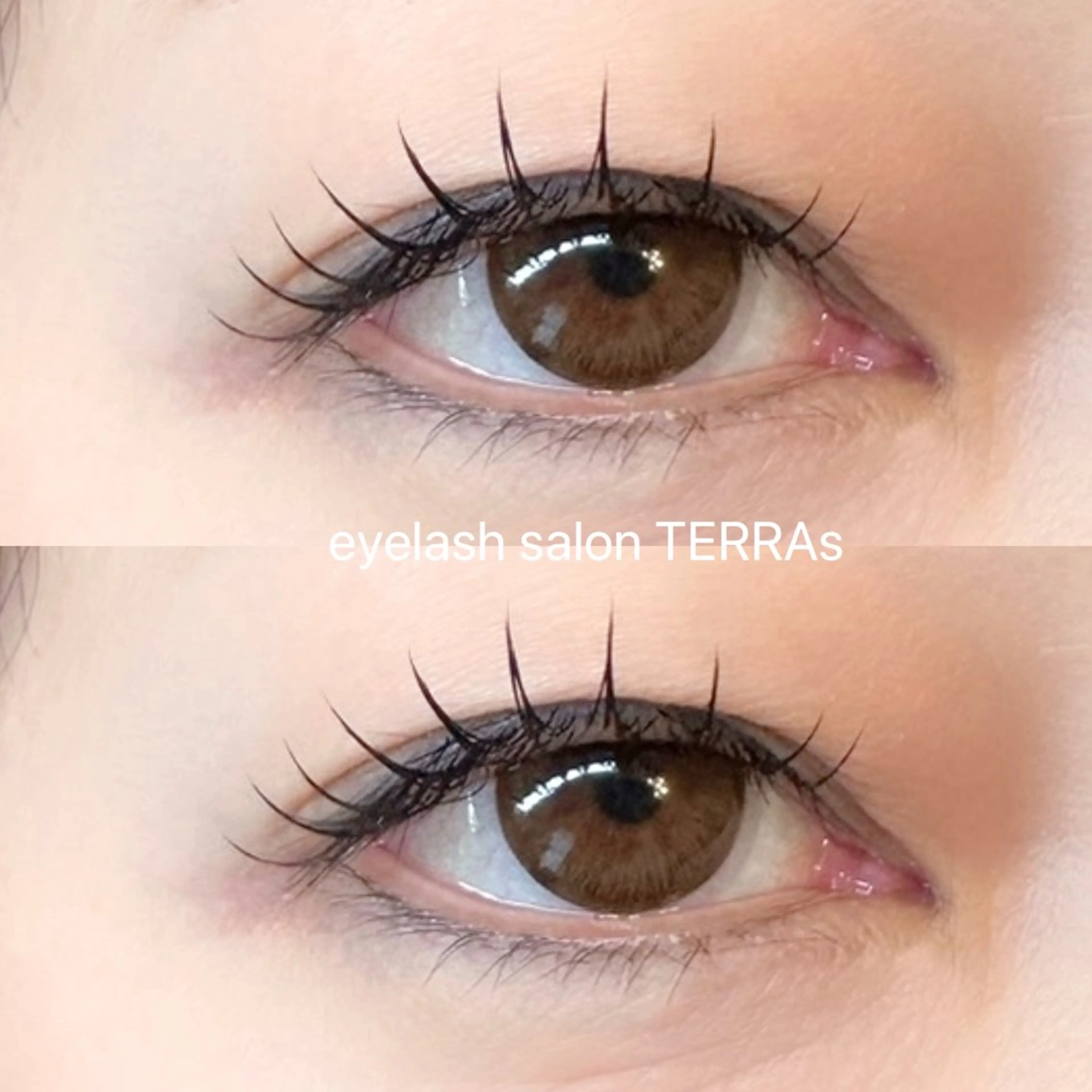 マツエク・マツパ フラットラッシュ TERRAs 蕨 / hitomi🐰のマツエク・マツパデザイン