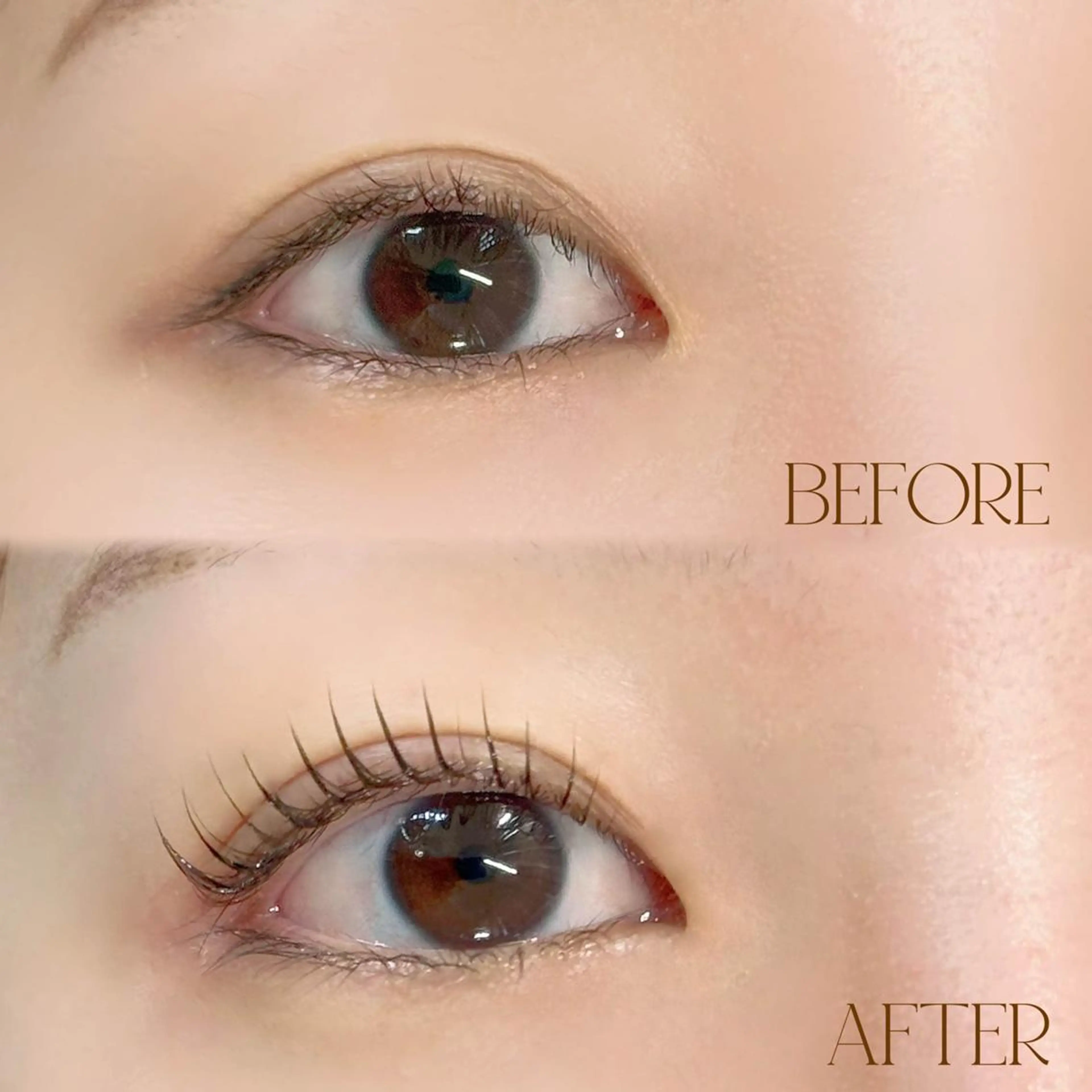 マツエク・マツパ Cカール まつげパーマ専門店 シャルナ　上野店のマツエク・マツパデザイン