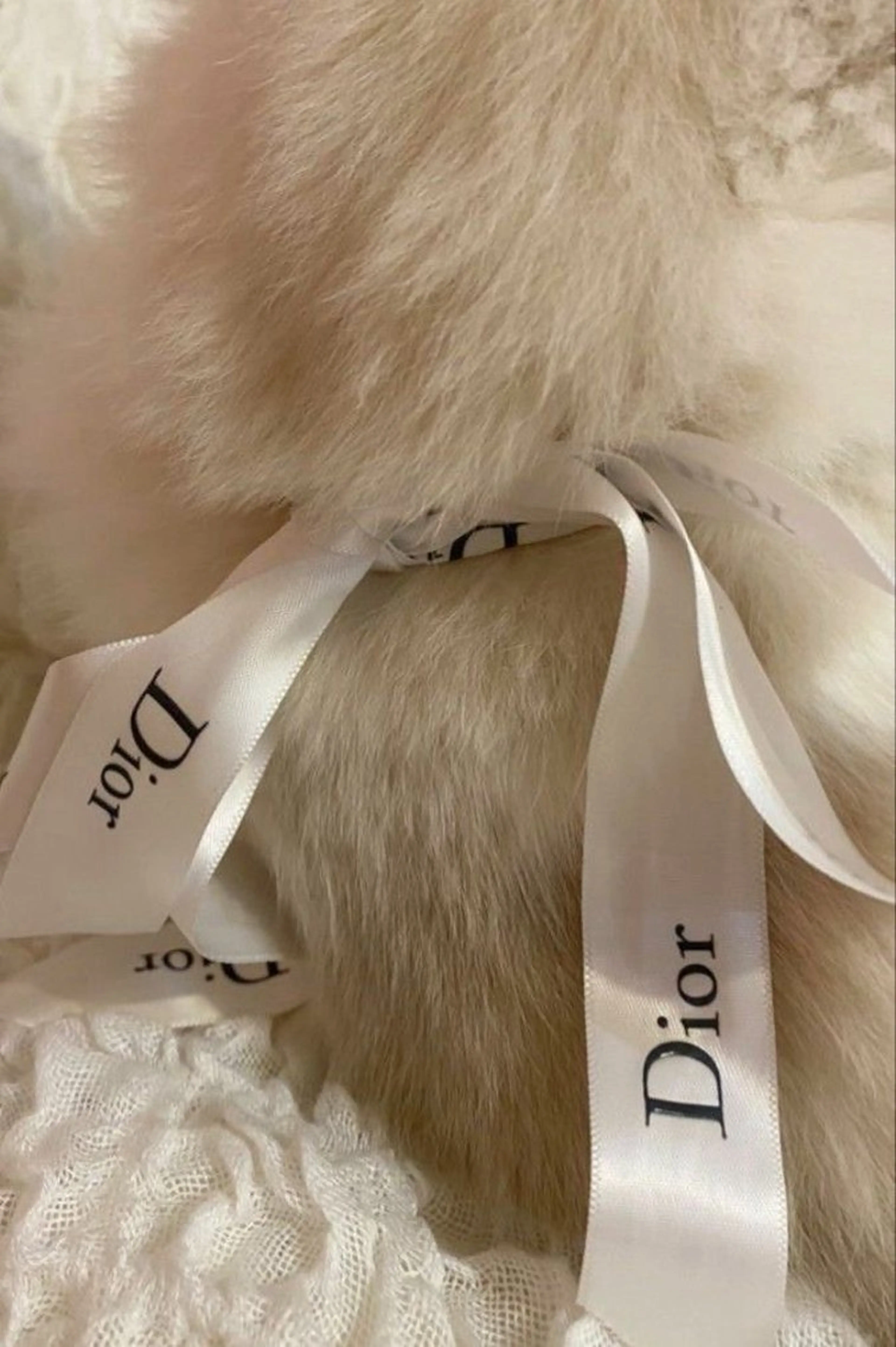 マツエク・マツパ Lash&brow PORTE269布施店所属・brace 竹田愛海のエステ・リラクイメージ