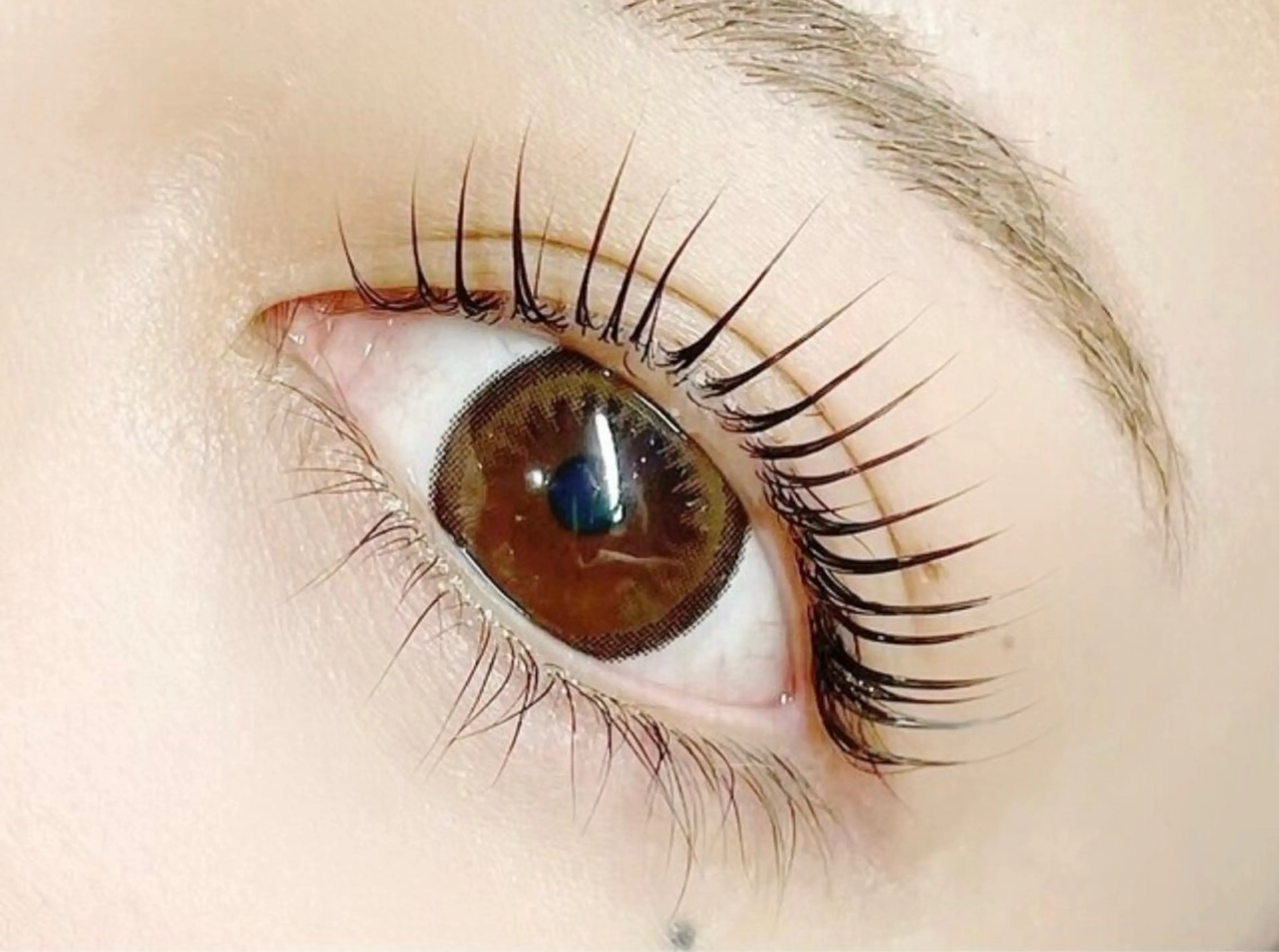 マツエク・マツパ 一重×まつ毛パーマ Belle 長見の眉毛・アイブロウイメージ