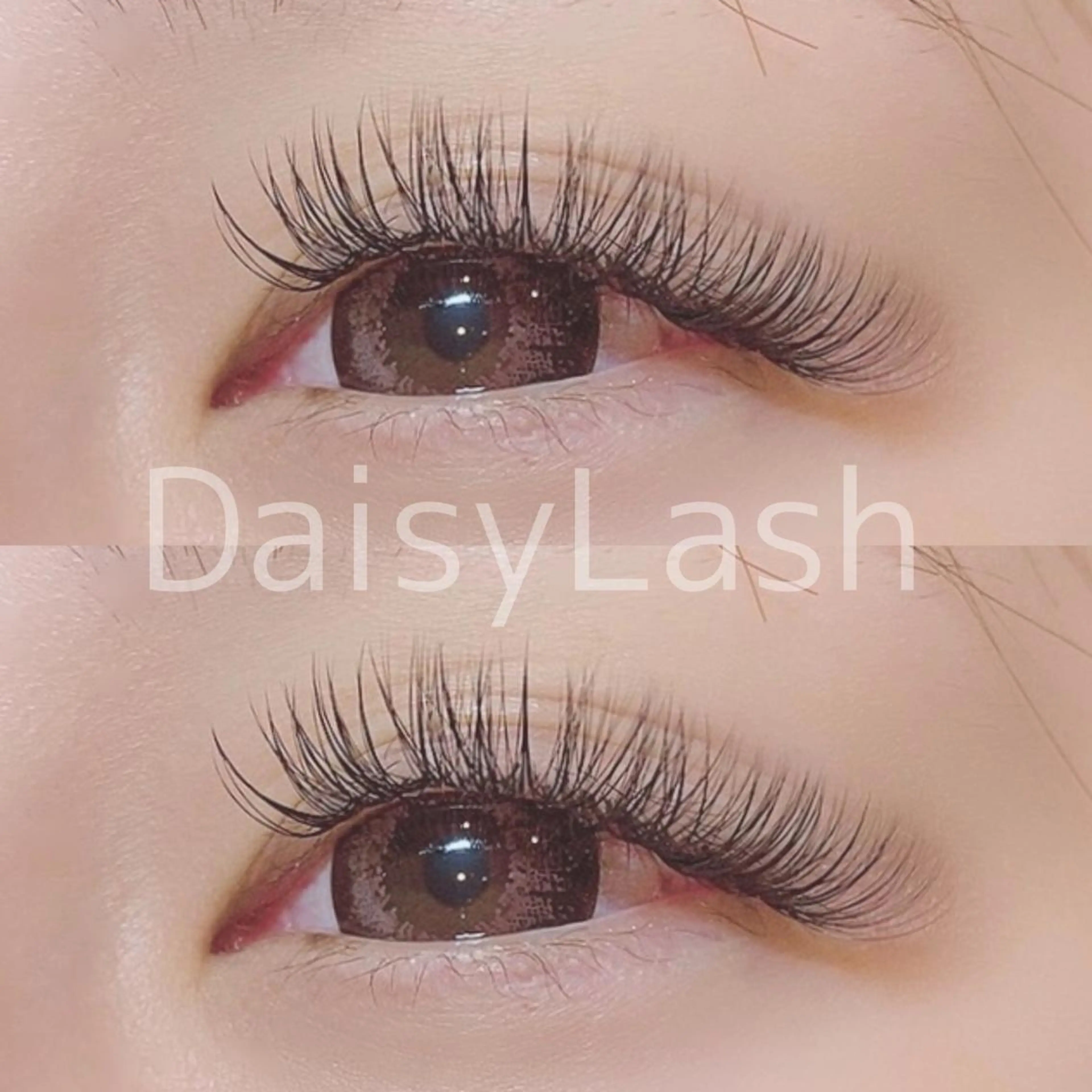 マツエク・マツパ DaisyLash 京橋店のマツエク・マツパデザイン