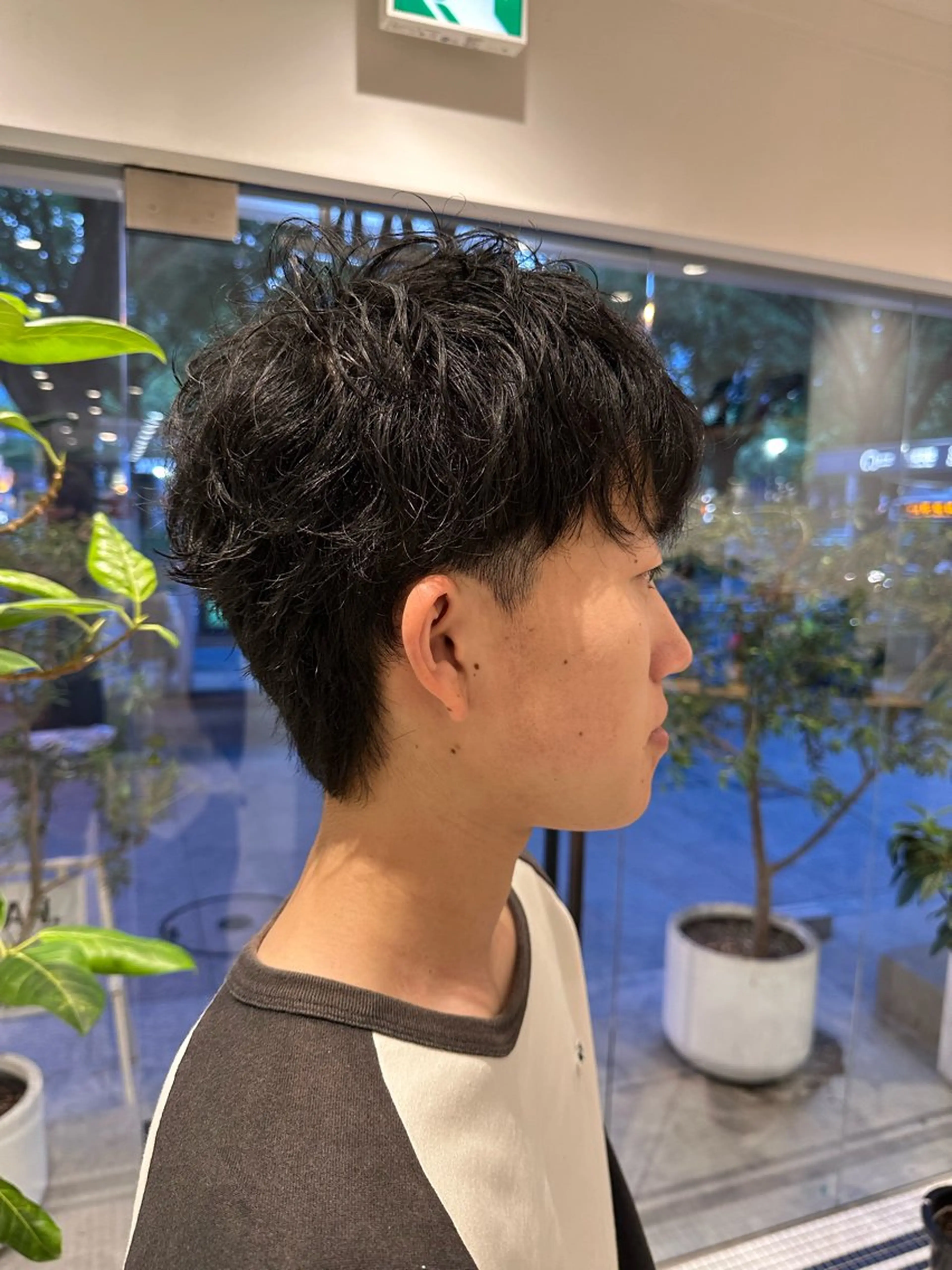 ショート メンズ 井村 晃琉のヘアスタイル