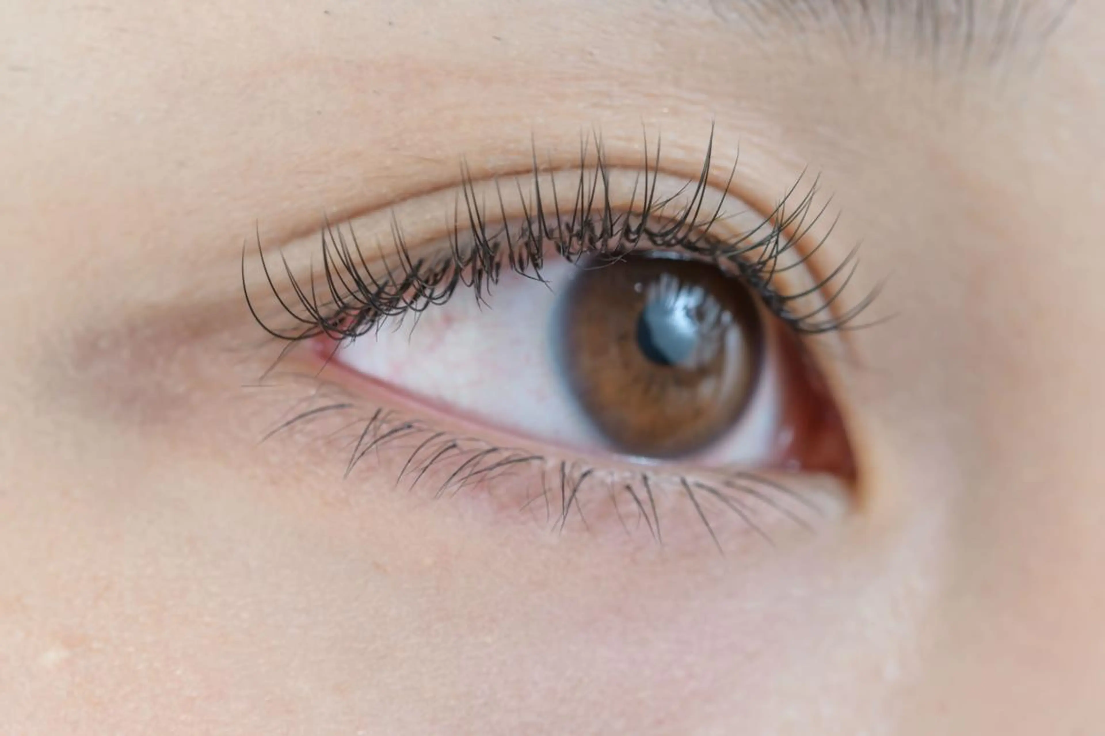 🌼フラットラッシュエクステ80本(オフ別途500円)の写真