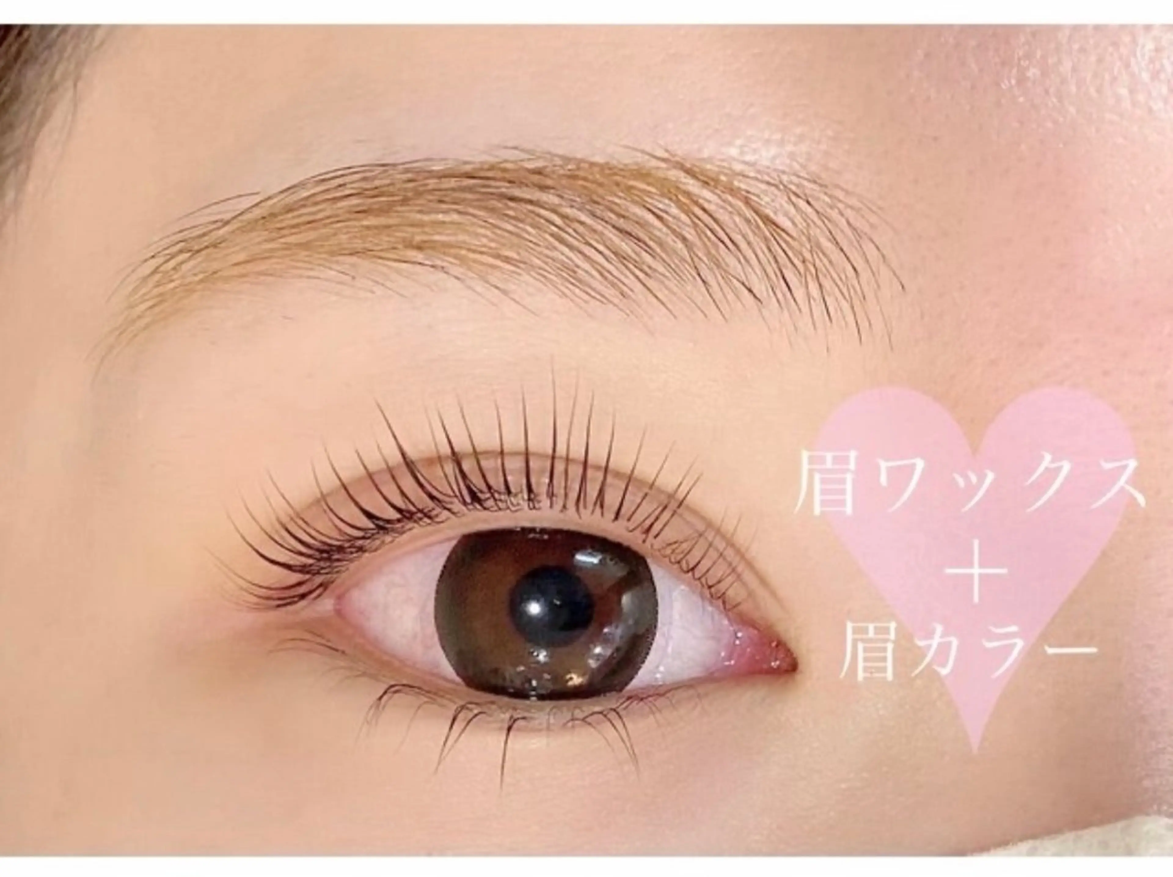 眉毛WAX(間引き・カット・眉メイク込み)+ふんわり眉トーン¥5000の写真