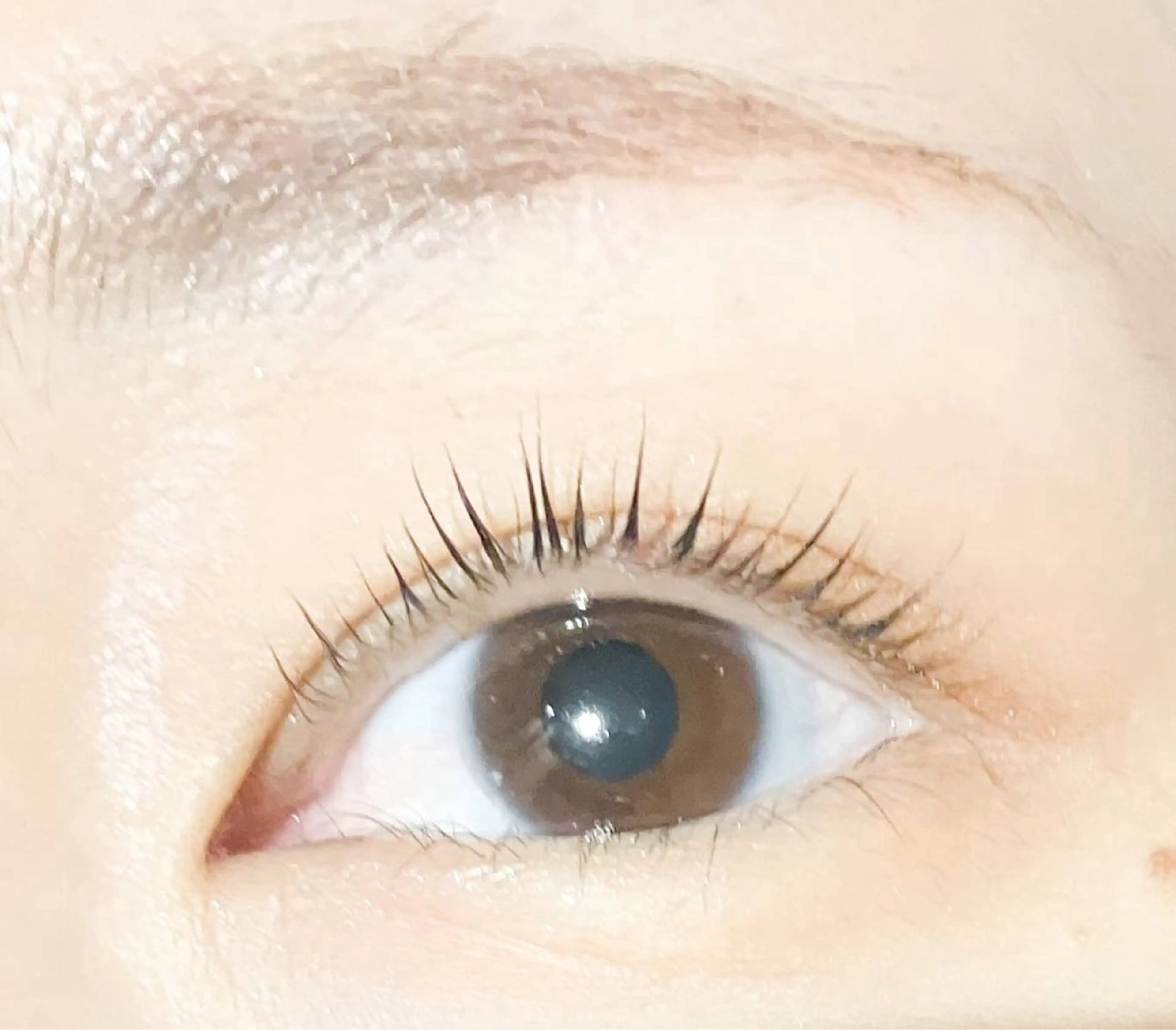 マツエク・マツパ Chopinet しずかのマツエク・マツパデザイン