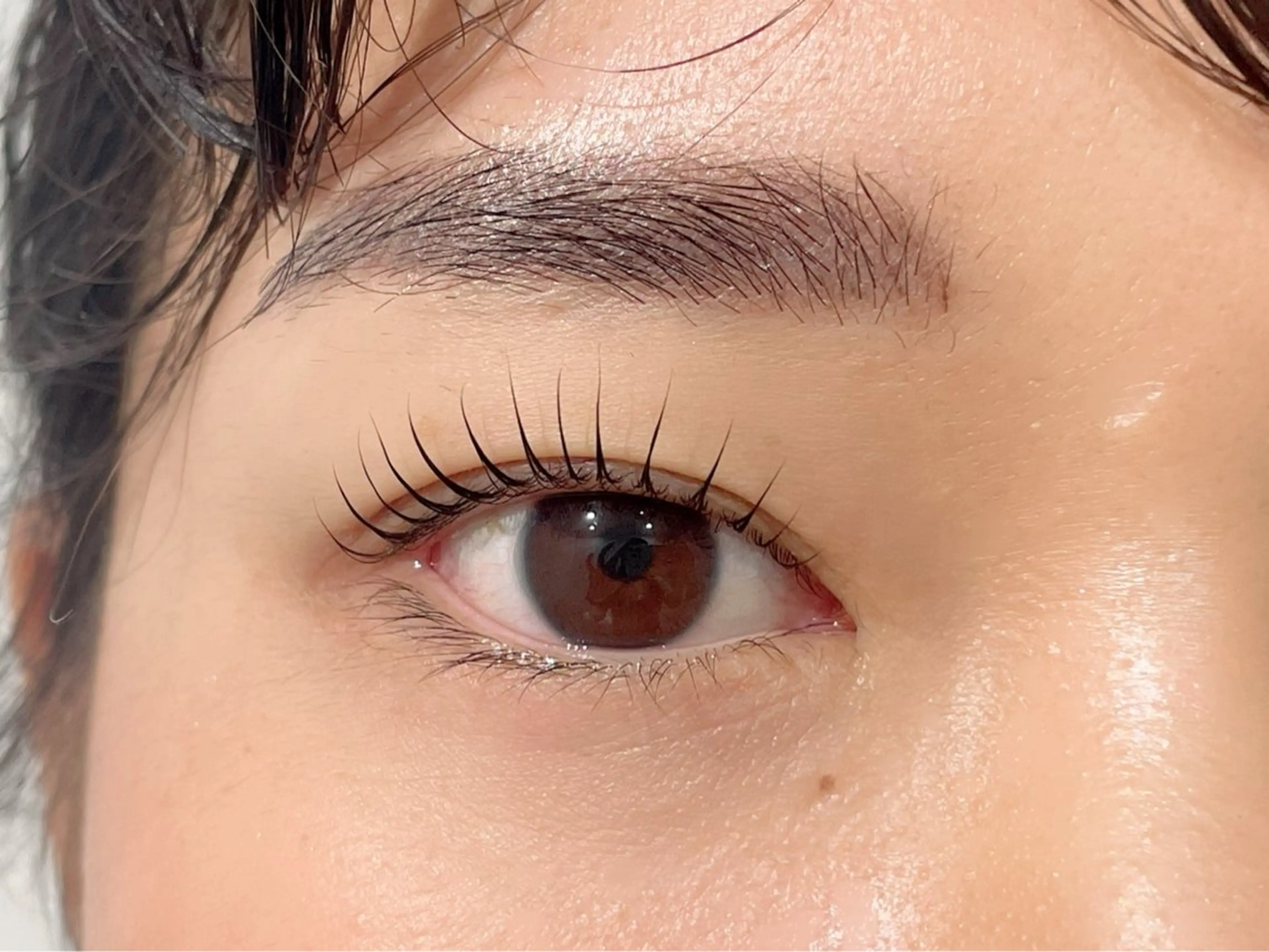 ご新規様🦩まつ毛パーマ【上のみ】の写真