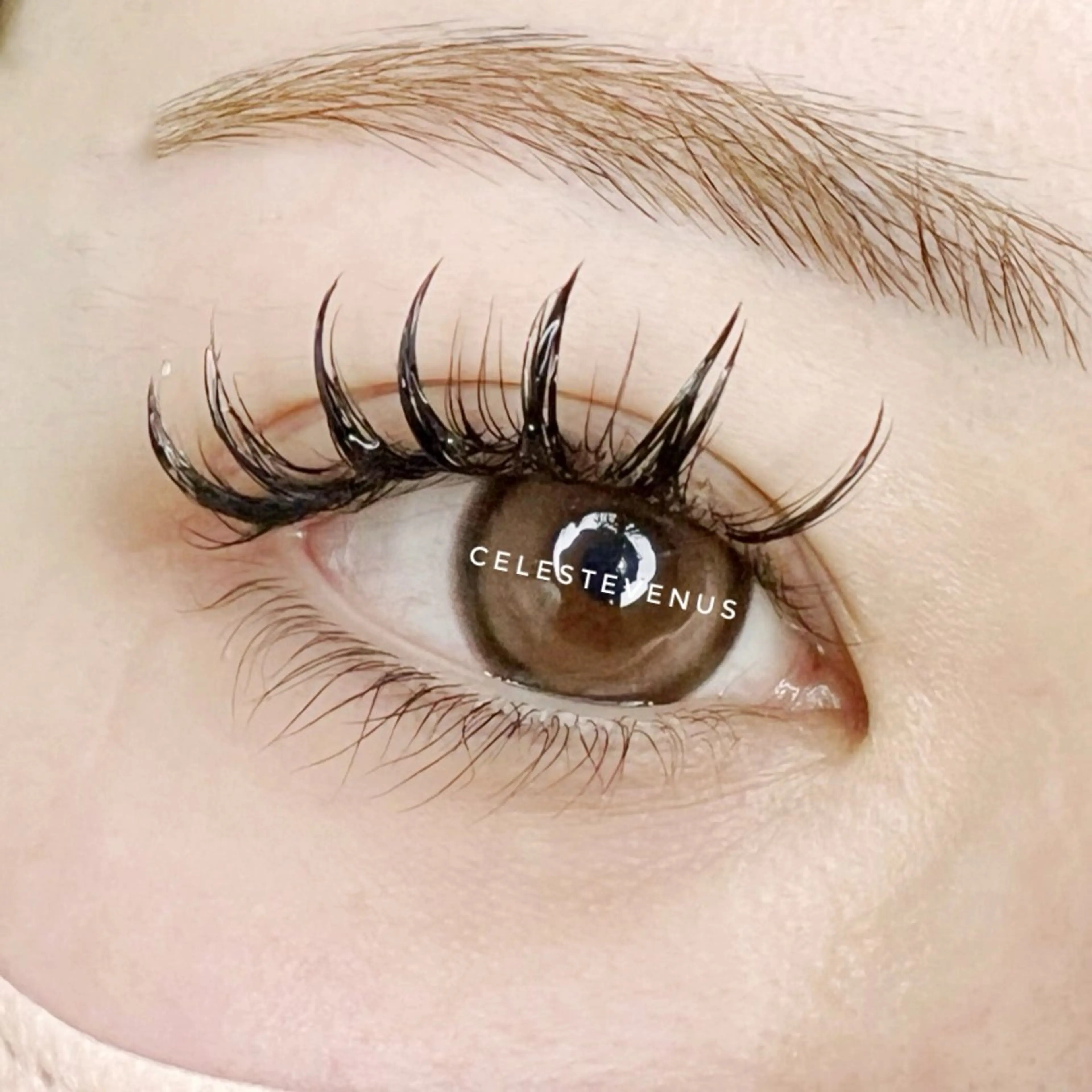 マツエク・マツパ バインドロック 🧸Celeste Venusのマツエク・マツパデザイン