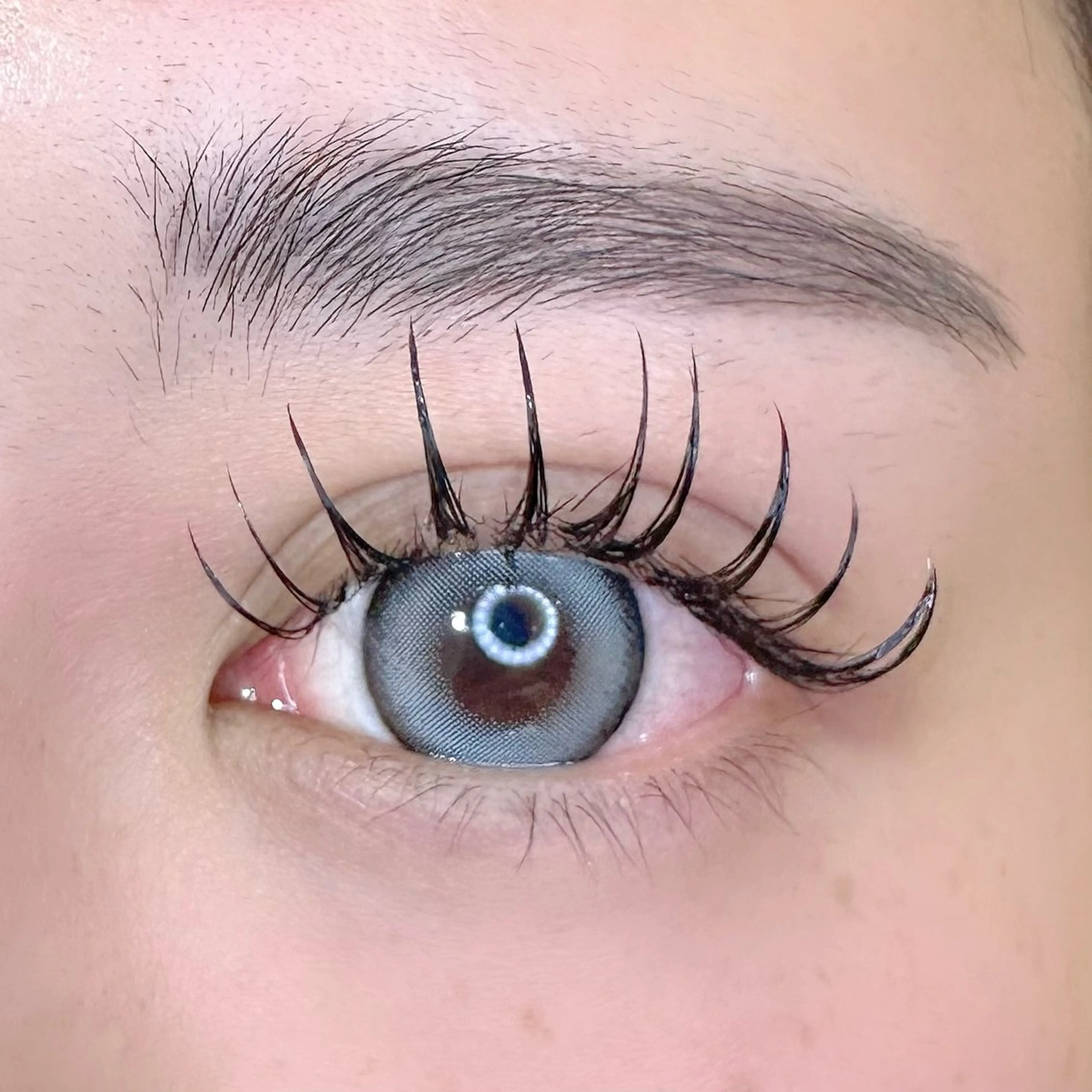 マツエク・マツパ フラットラッシュ bunny eyes 小島のマツエク・マツパデザイン