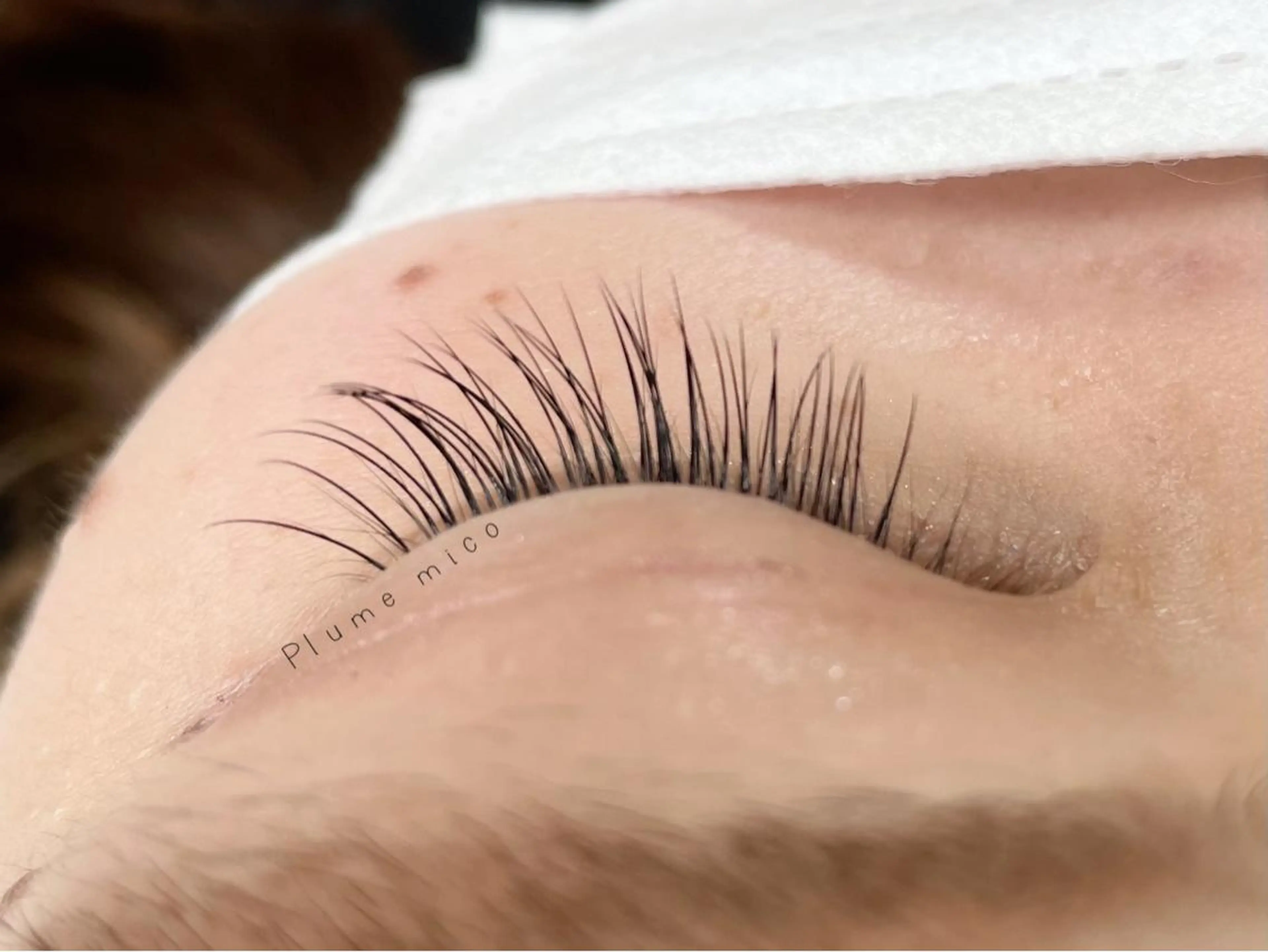 マツエク・マツパ マツエク Plume micoのマツエク・マツパデザイン