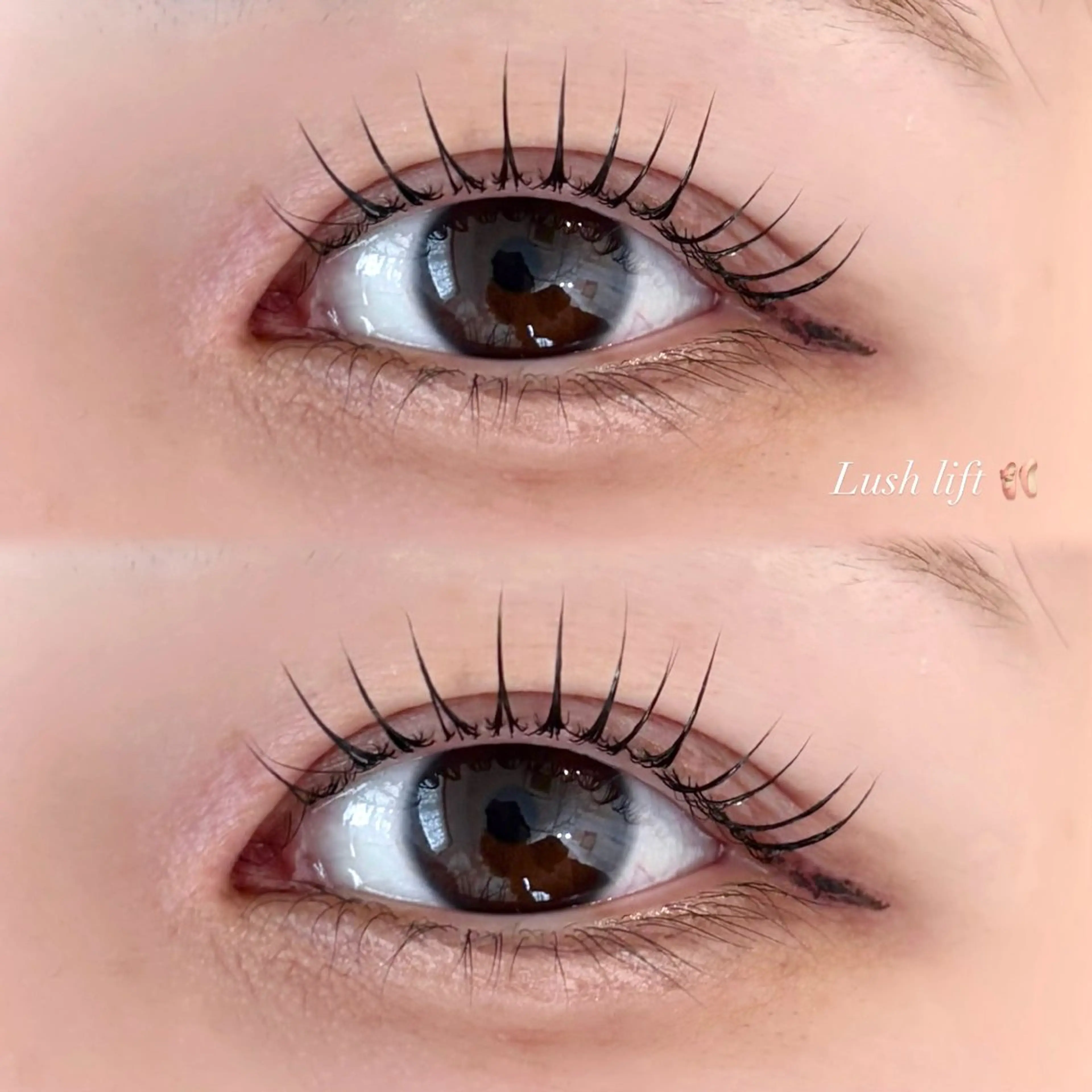 選べるパーマ《ラッシュリフト》‎🤍コーティング仕上げ付き🫧の写真