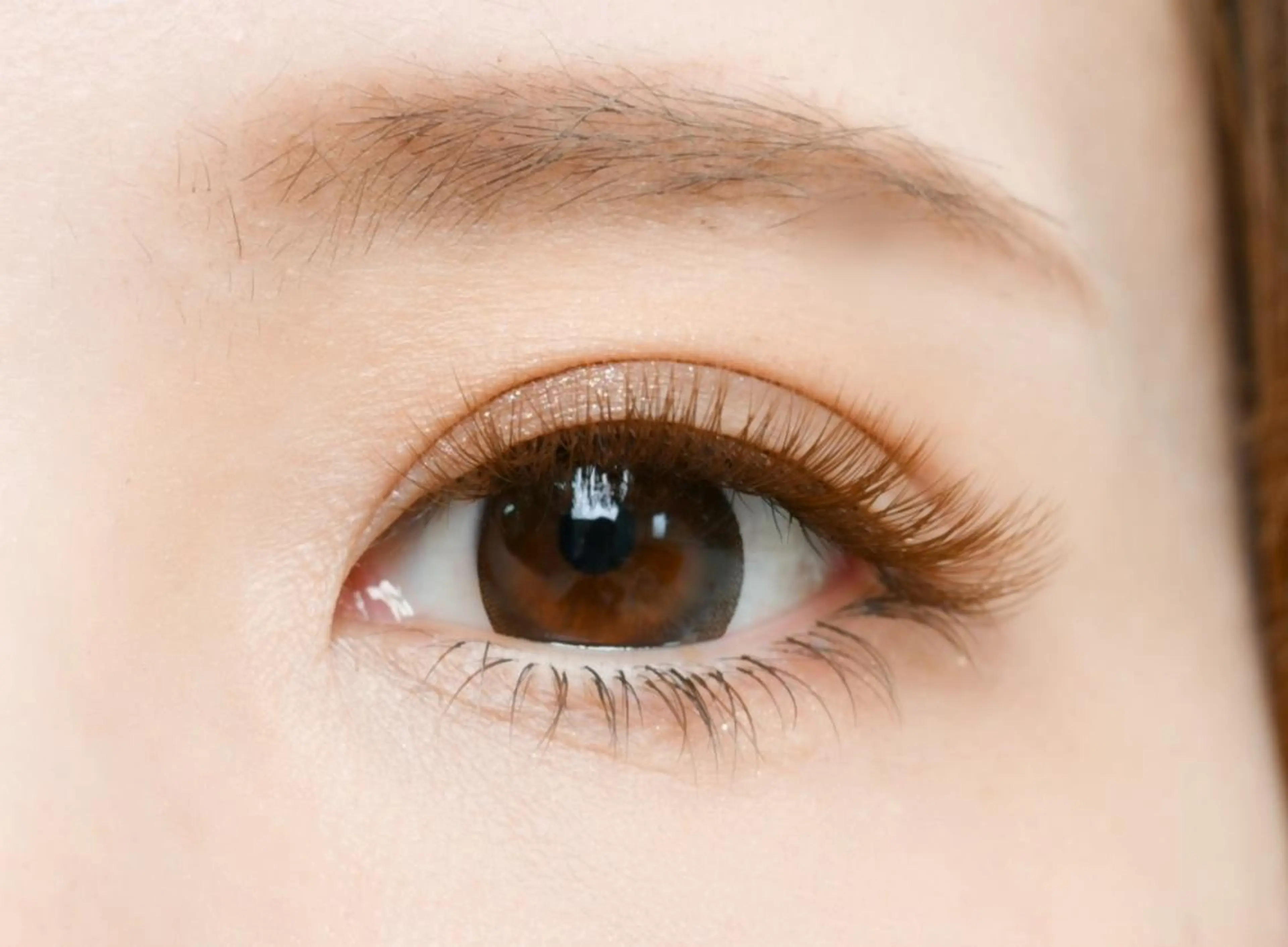 マツエク・マツパ まつげサロンWILL イオン仙台泉大沢店のマツエク・マツパデザイン