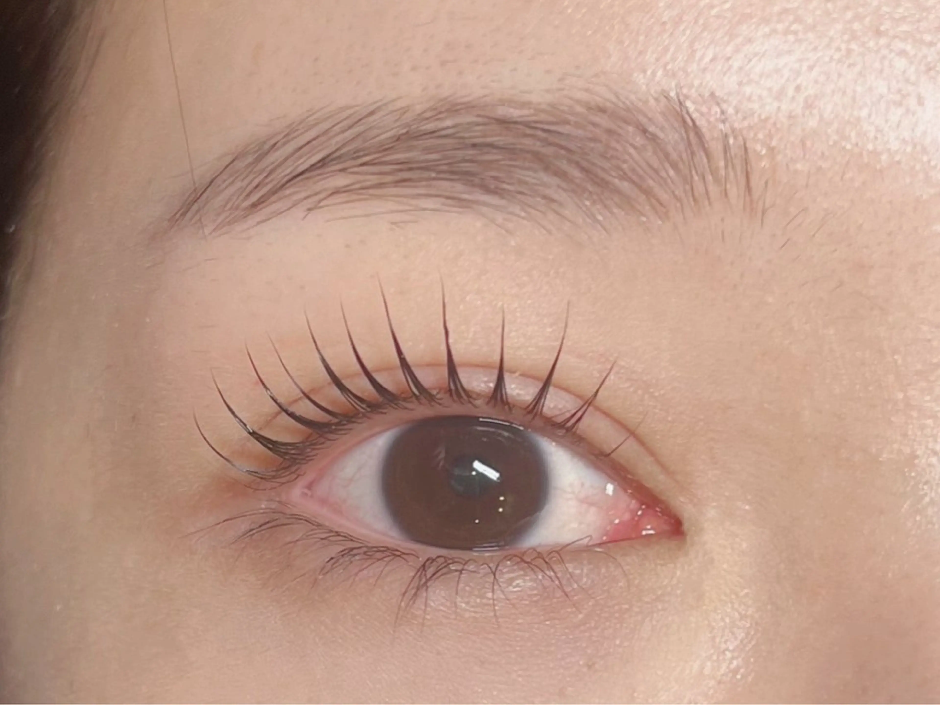 🤍 パリジェンヌラッシュリフト+美眉スタイリングの写真