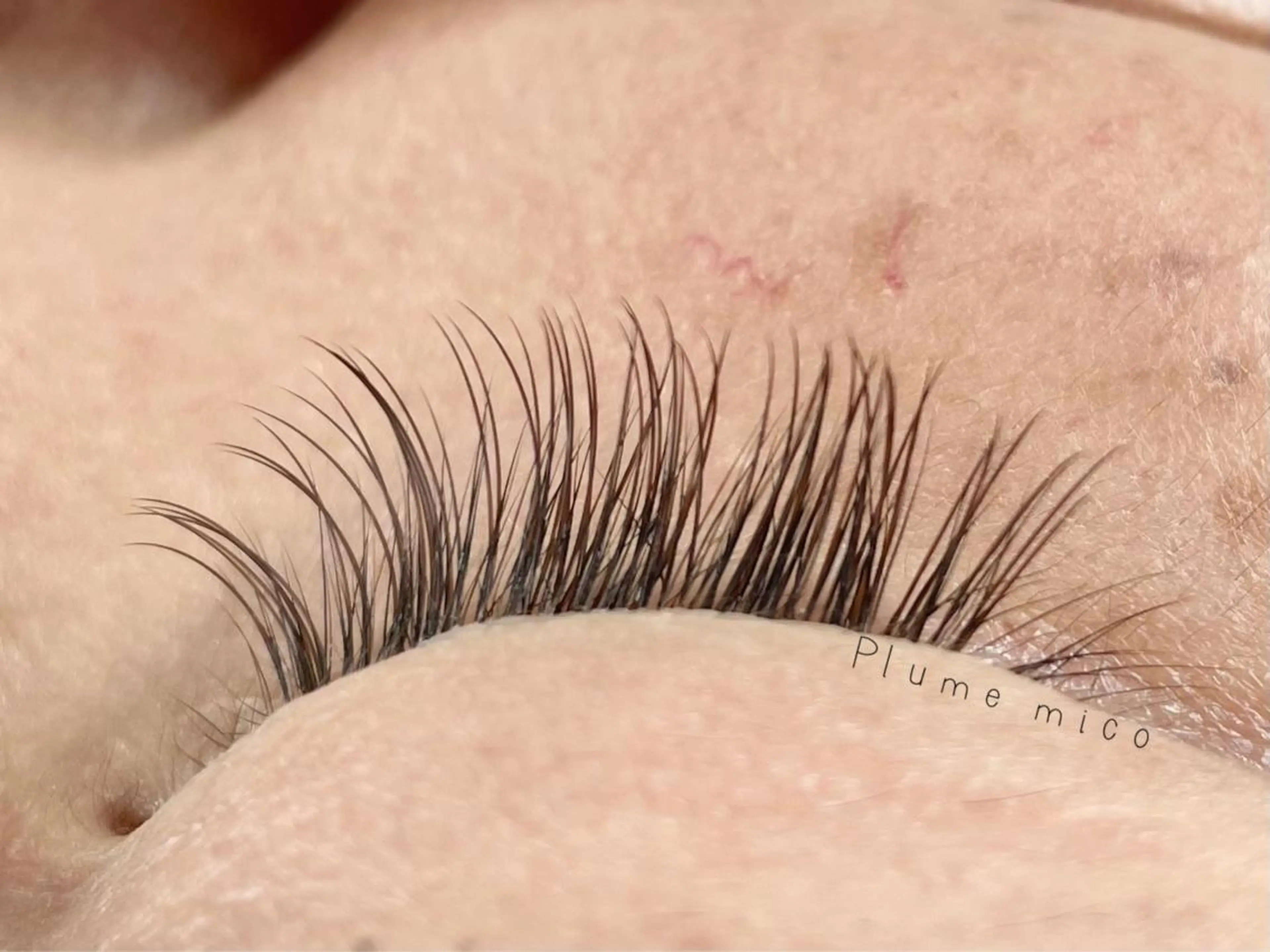 マツエク・マツパ フラットラッシュ Plume micoのマツエク・マツパデザイン