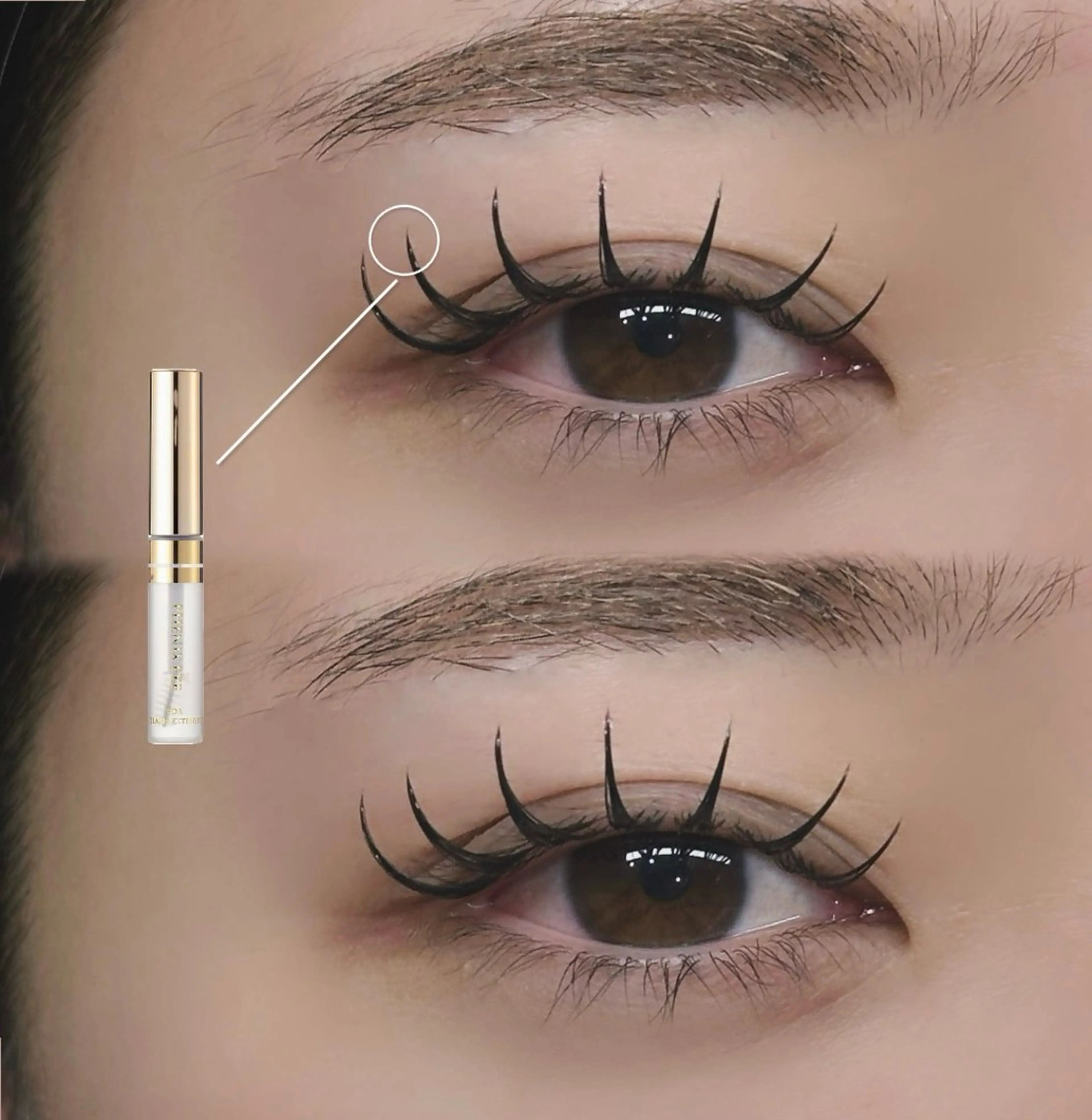 マツエク・マツパ 束感まつ毛 マツエク “ C ” kana🩰‎🤍の眉毛・アイブロウイメージ