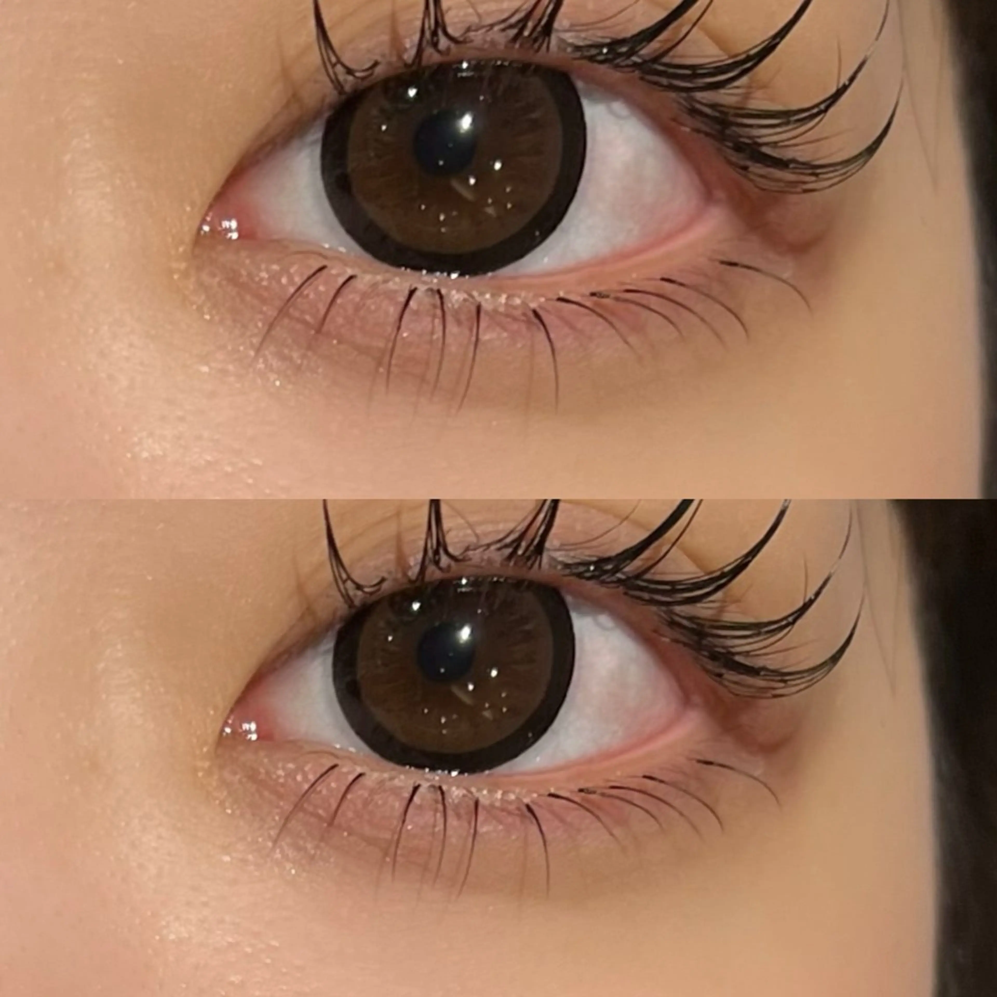 【🌻下まつげエクステ🌻】20本～30本の写真