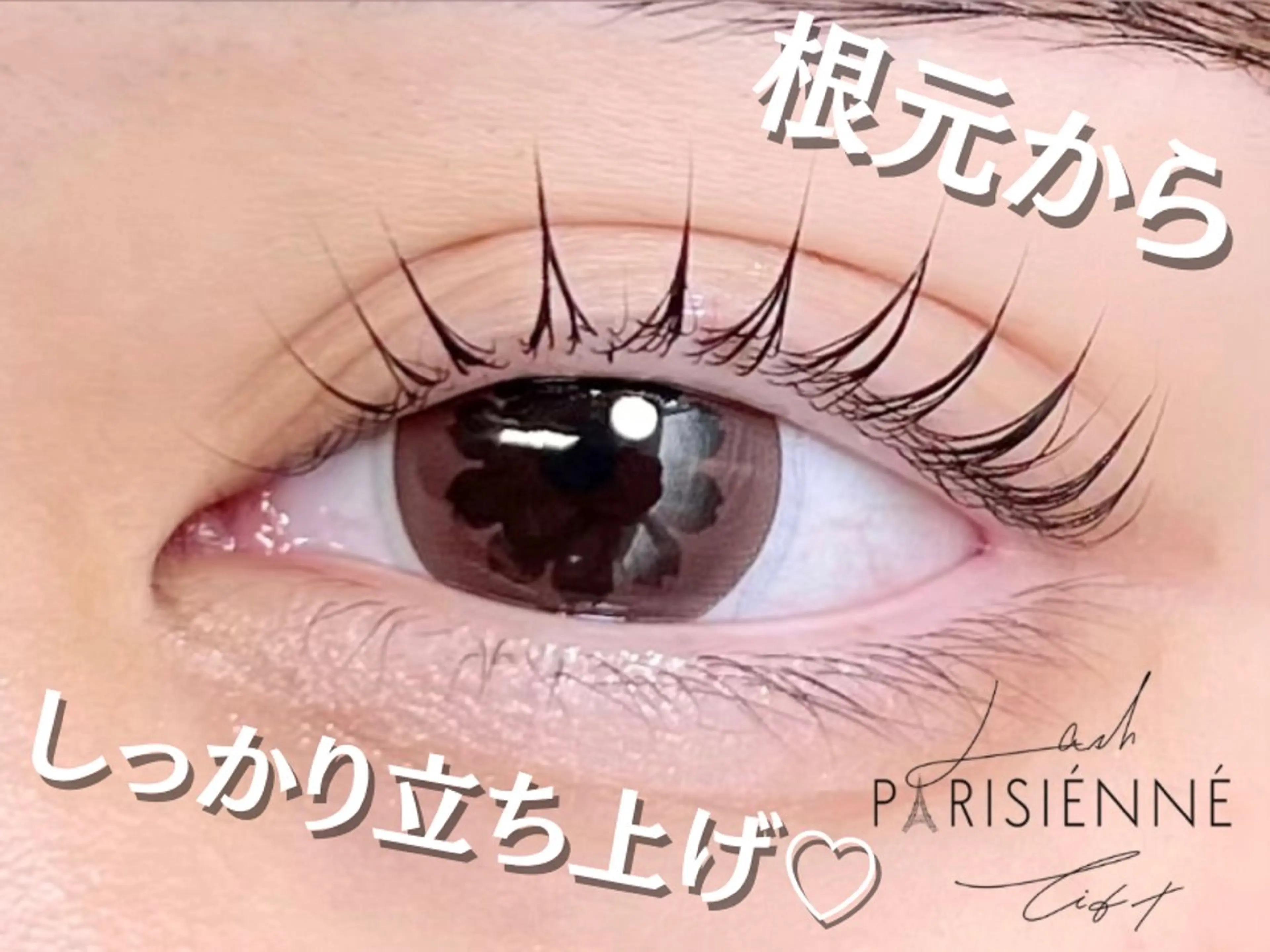 マツエク・マツパ パリジェンヌラッシュリフト マツパ Cherie Kawaguchiのマツエク・マツパデザイン